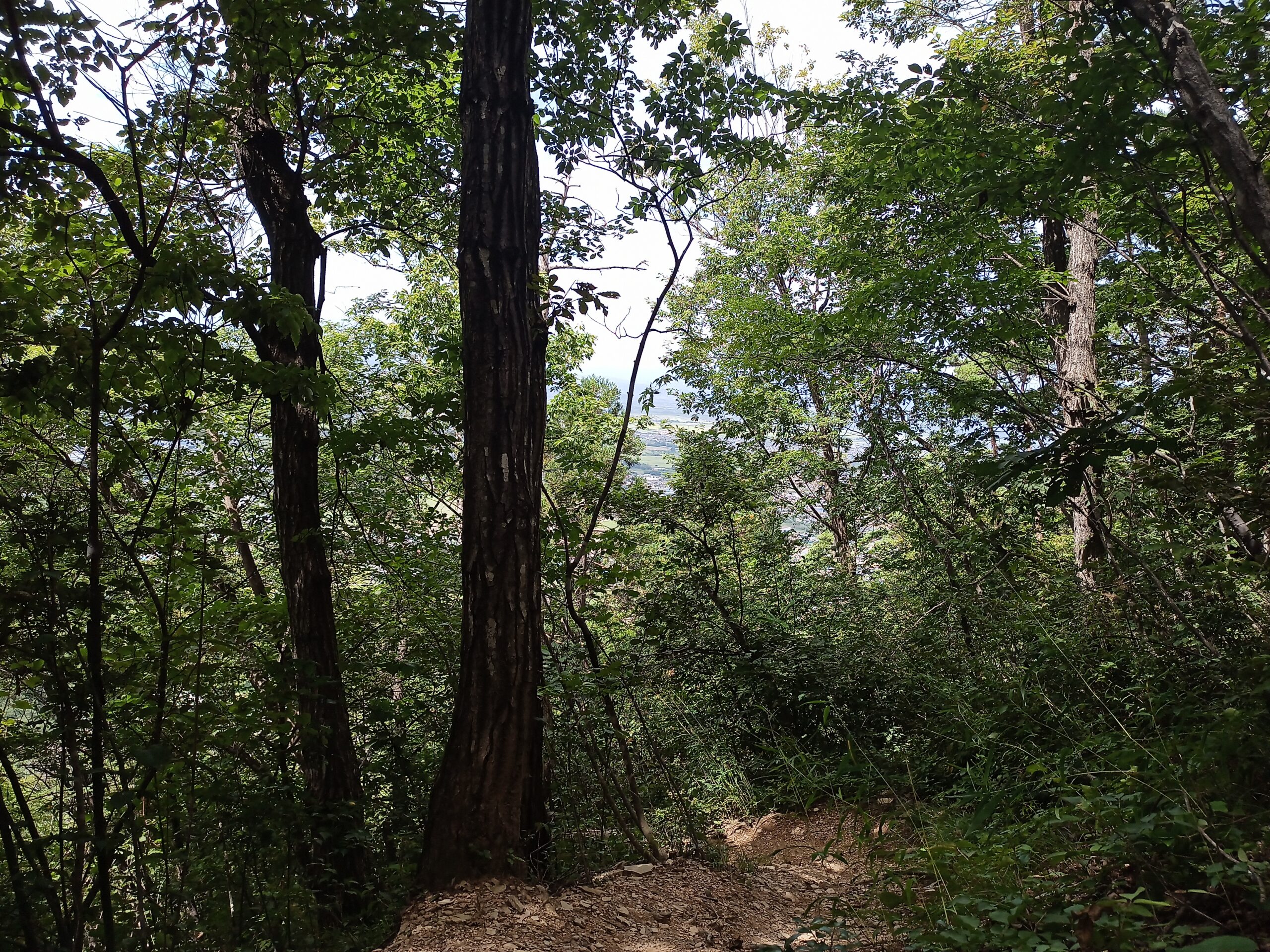 IMG_20230816_113246_844