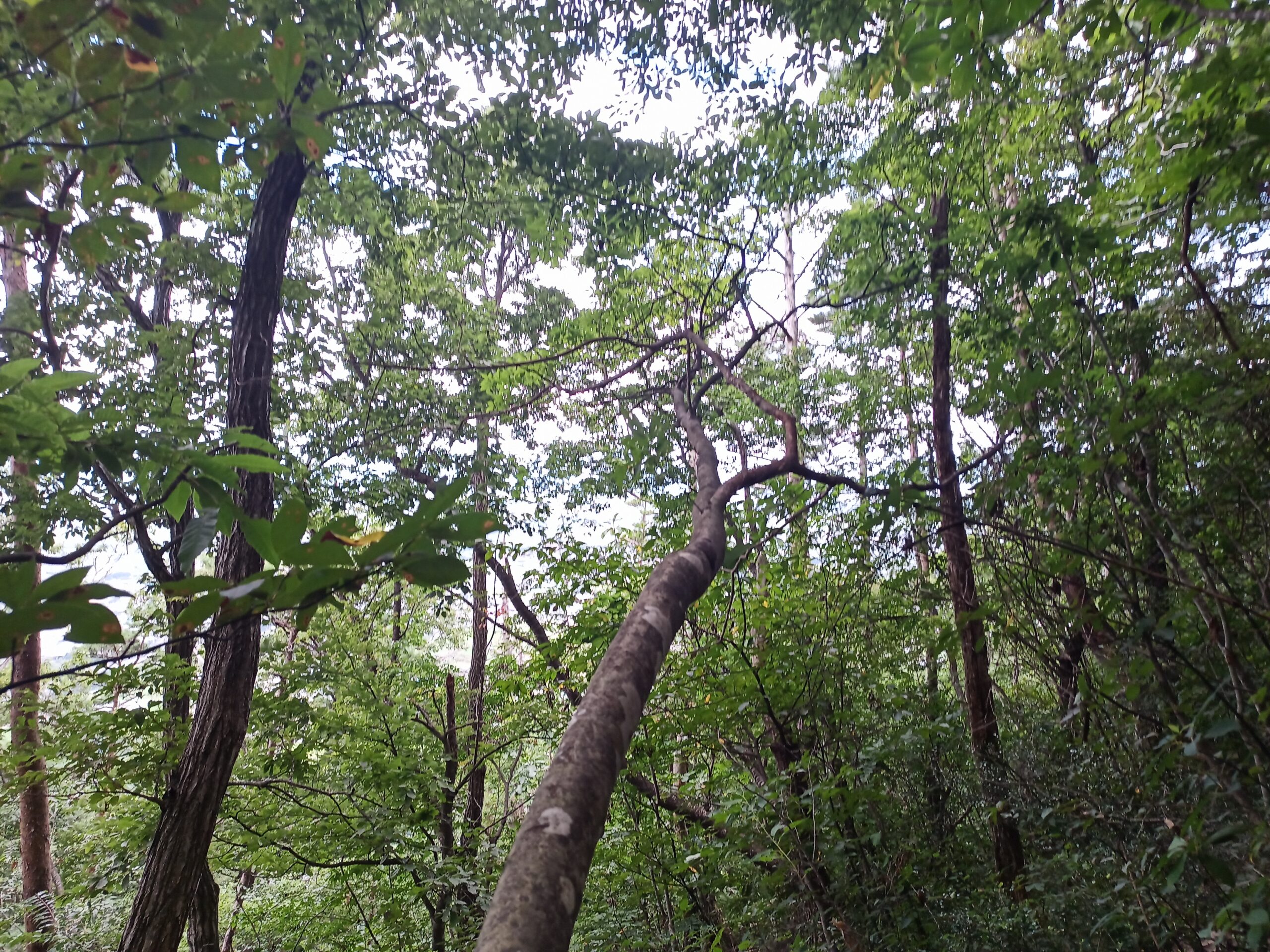 IMG_20230816_115244_647