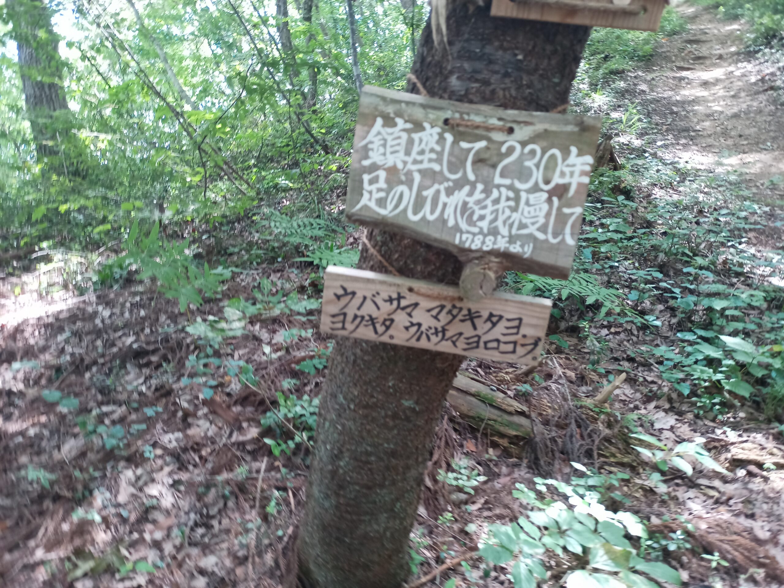 IMG_20230816_120518_960