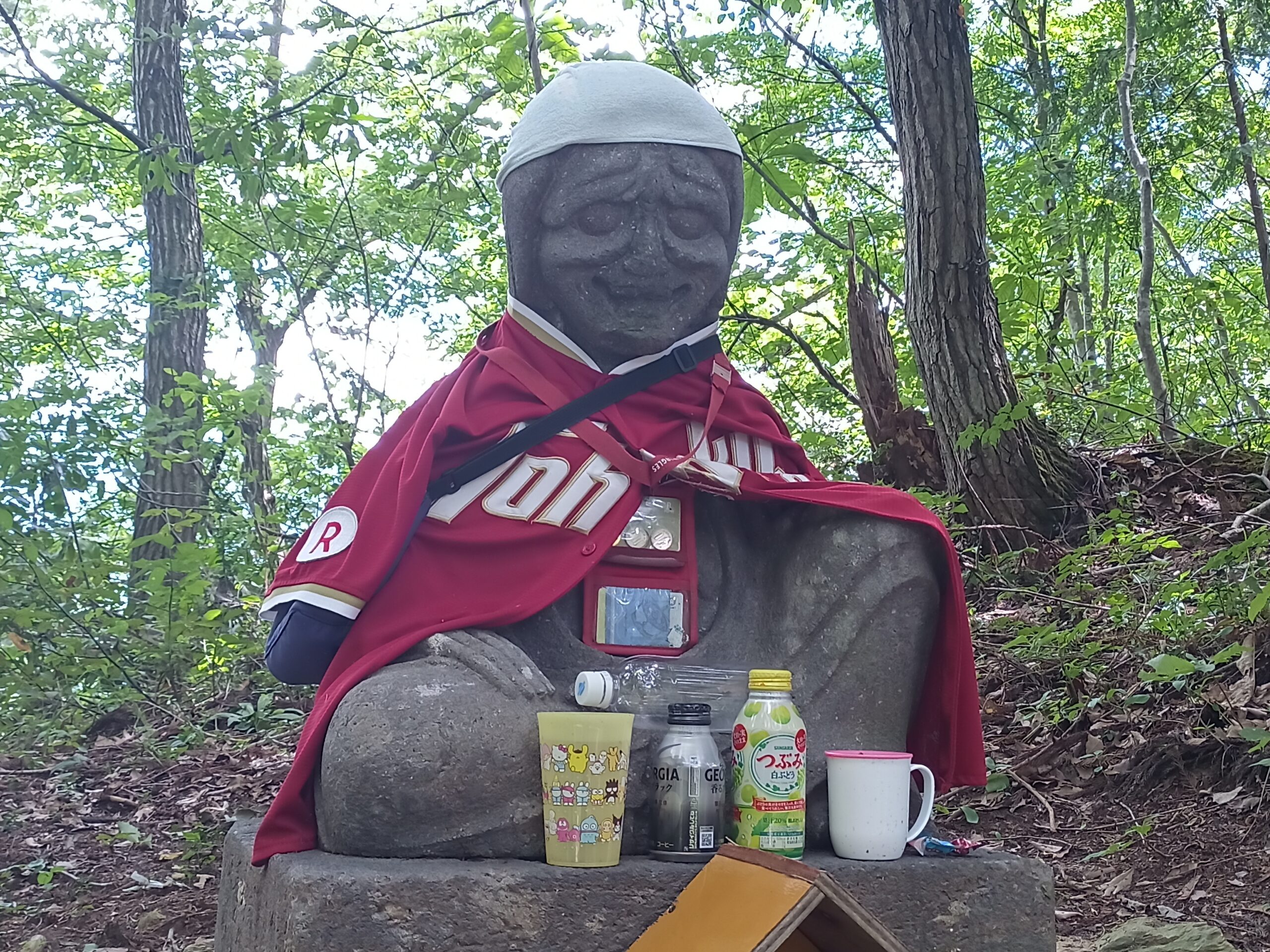 IMG_20230816_120825_553