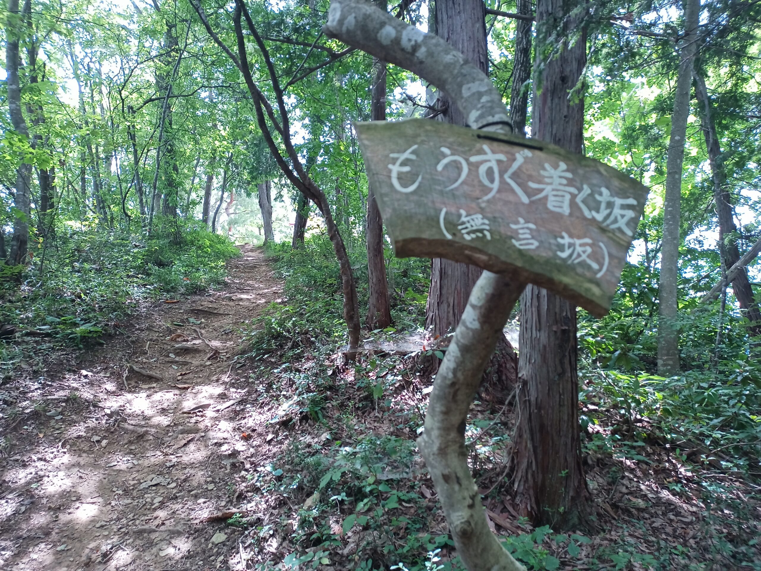 IMG_20230816_120927_518