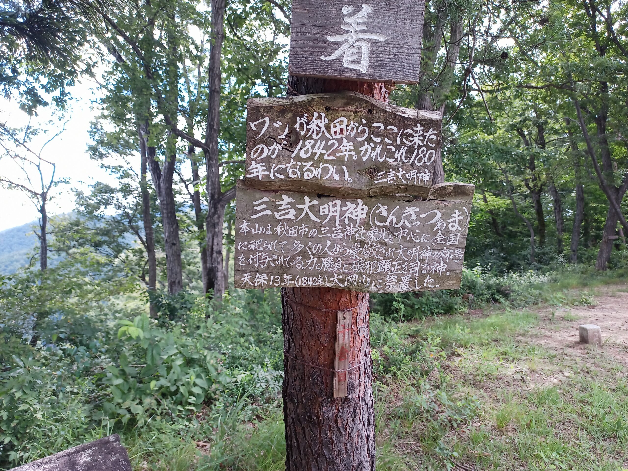 IMG_20230816_121102_246