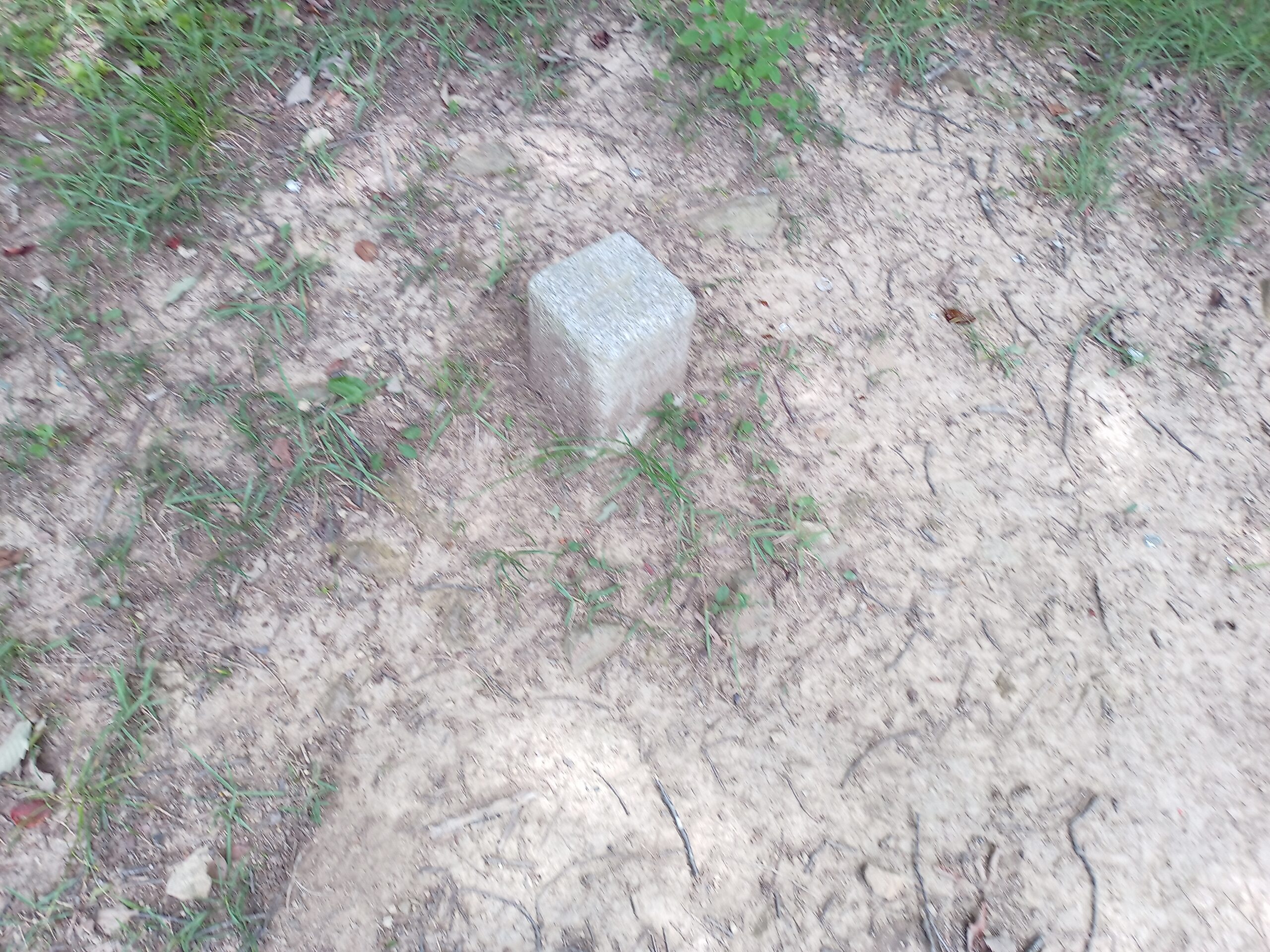 IMG_20230816_121117_236