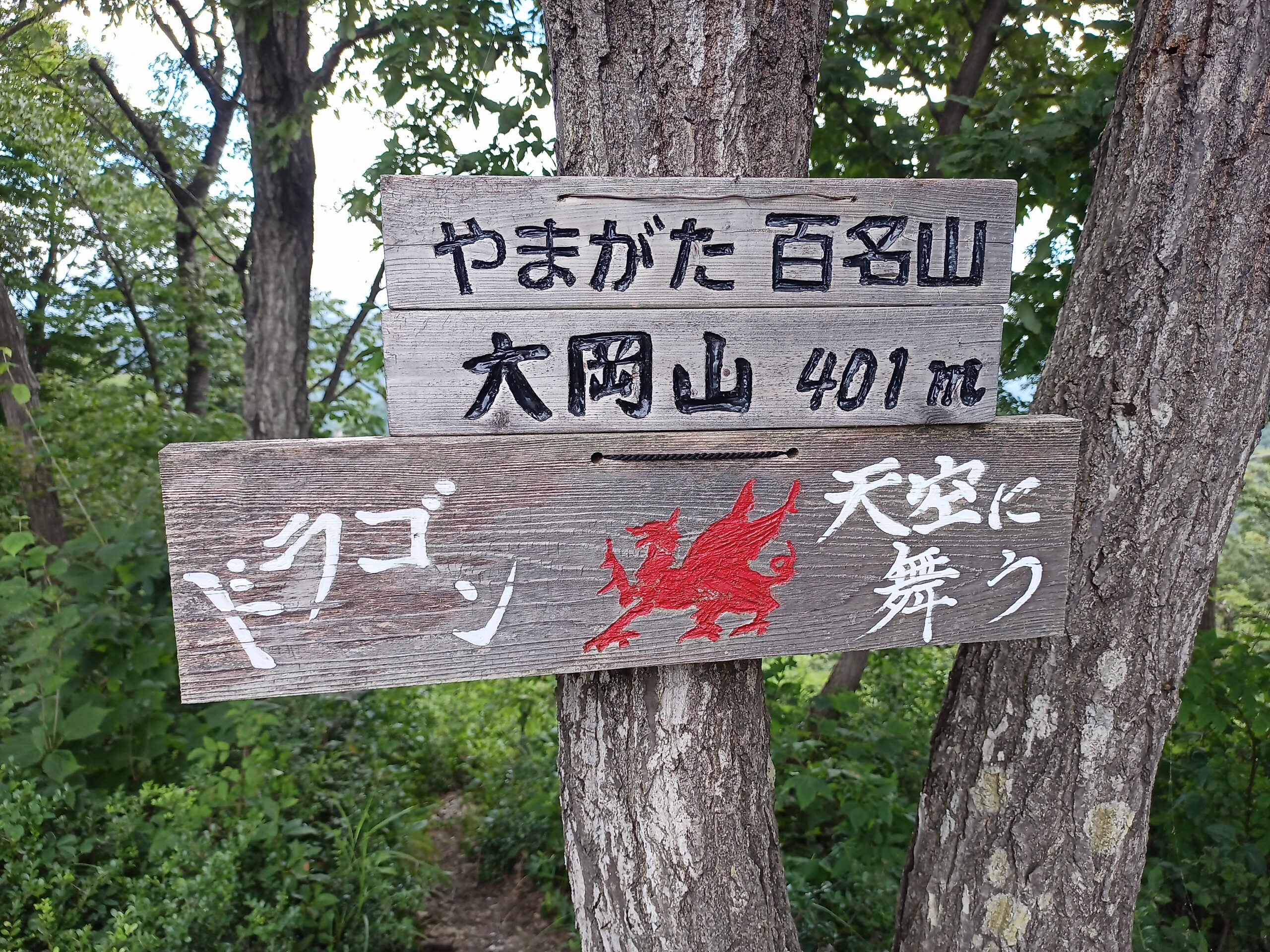 IMG_20230816_121311_645