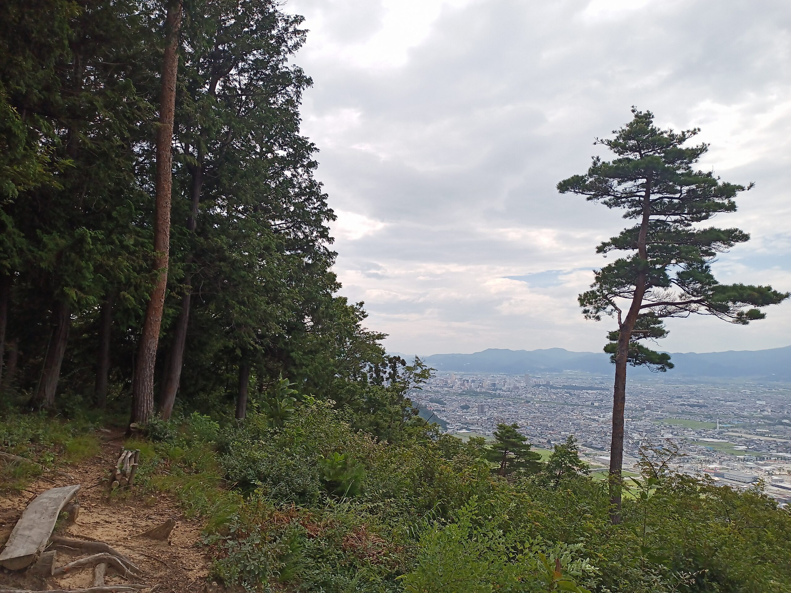 IMG_20230816_121433_342