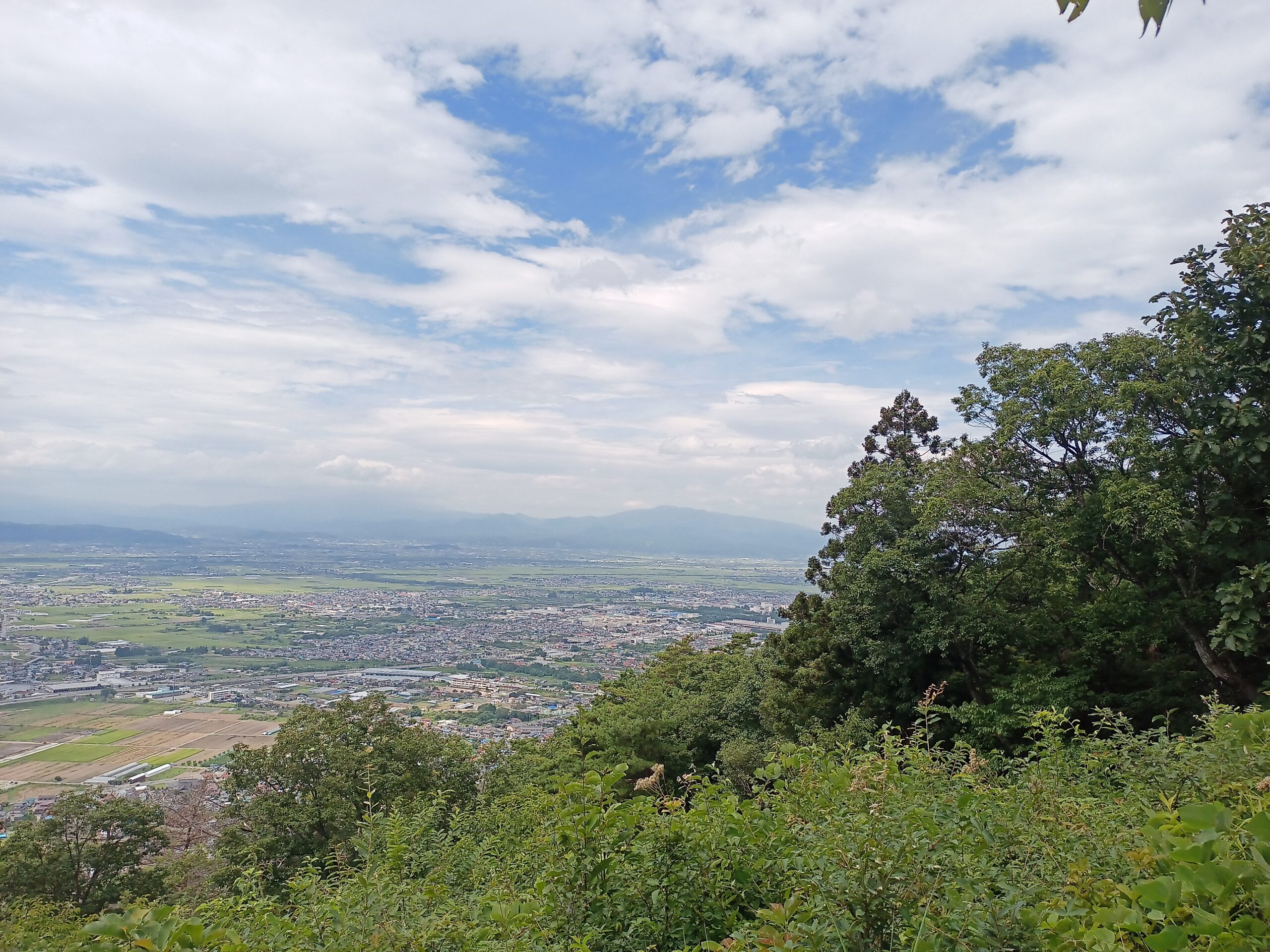 IMG_20230816_121441_471