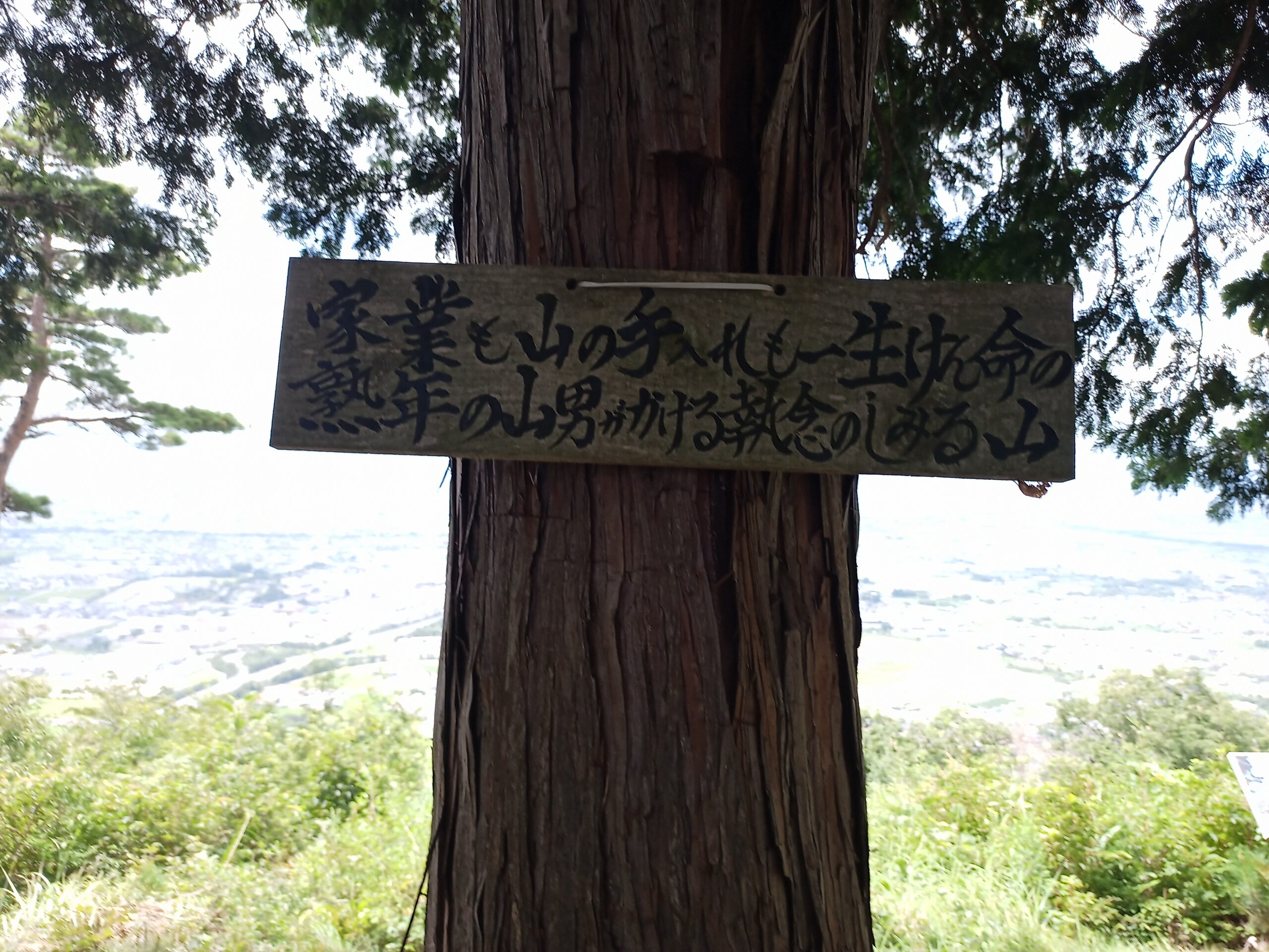 IMG_20230816_121758_949