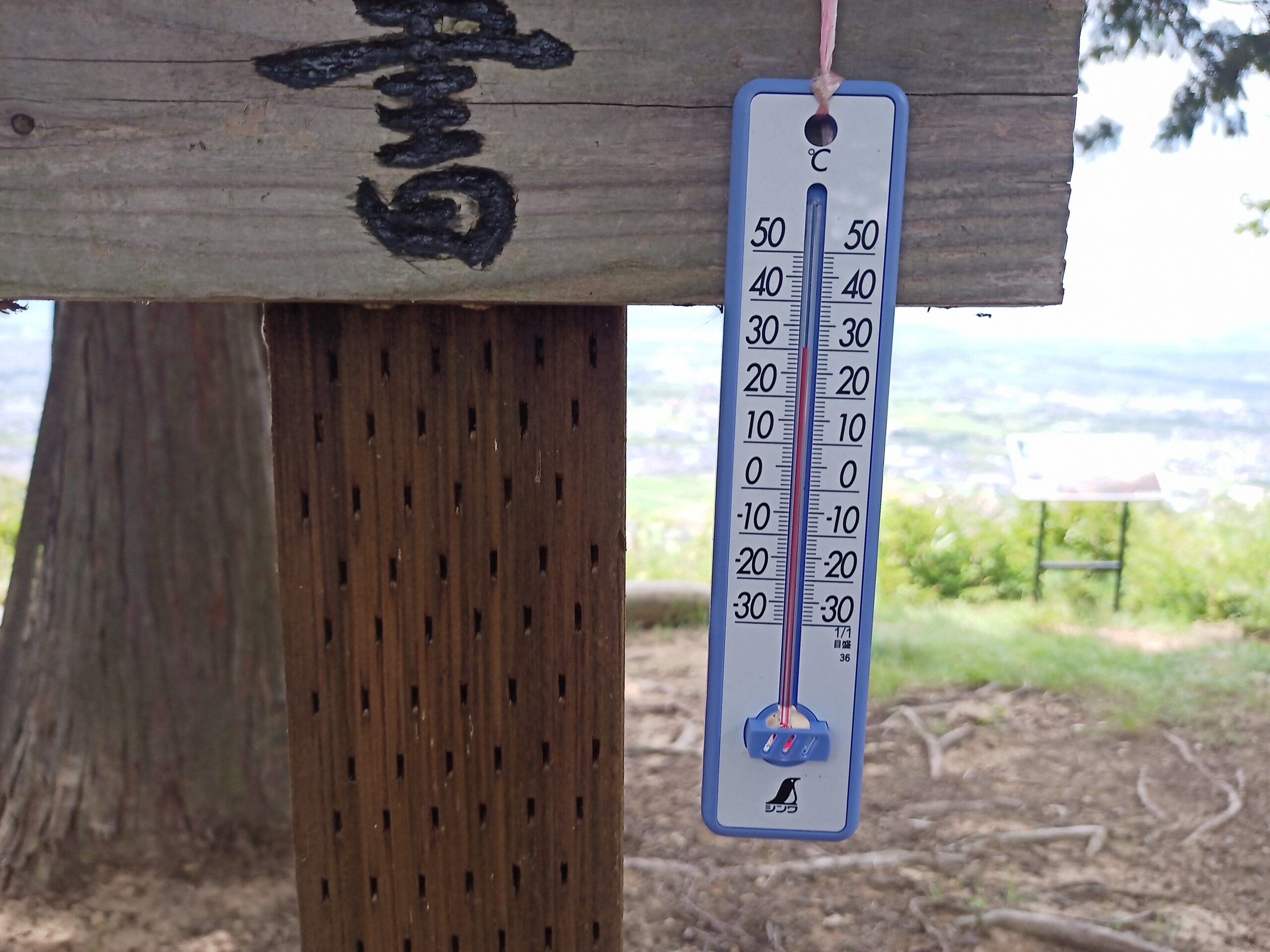 IMG_20230816_121816_601