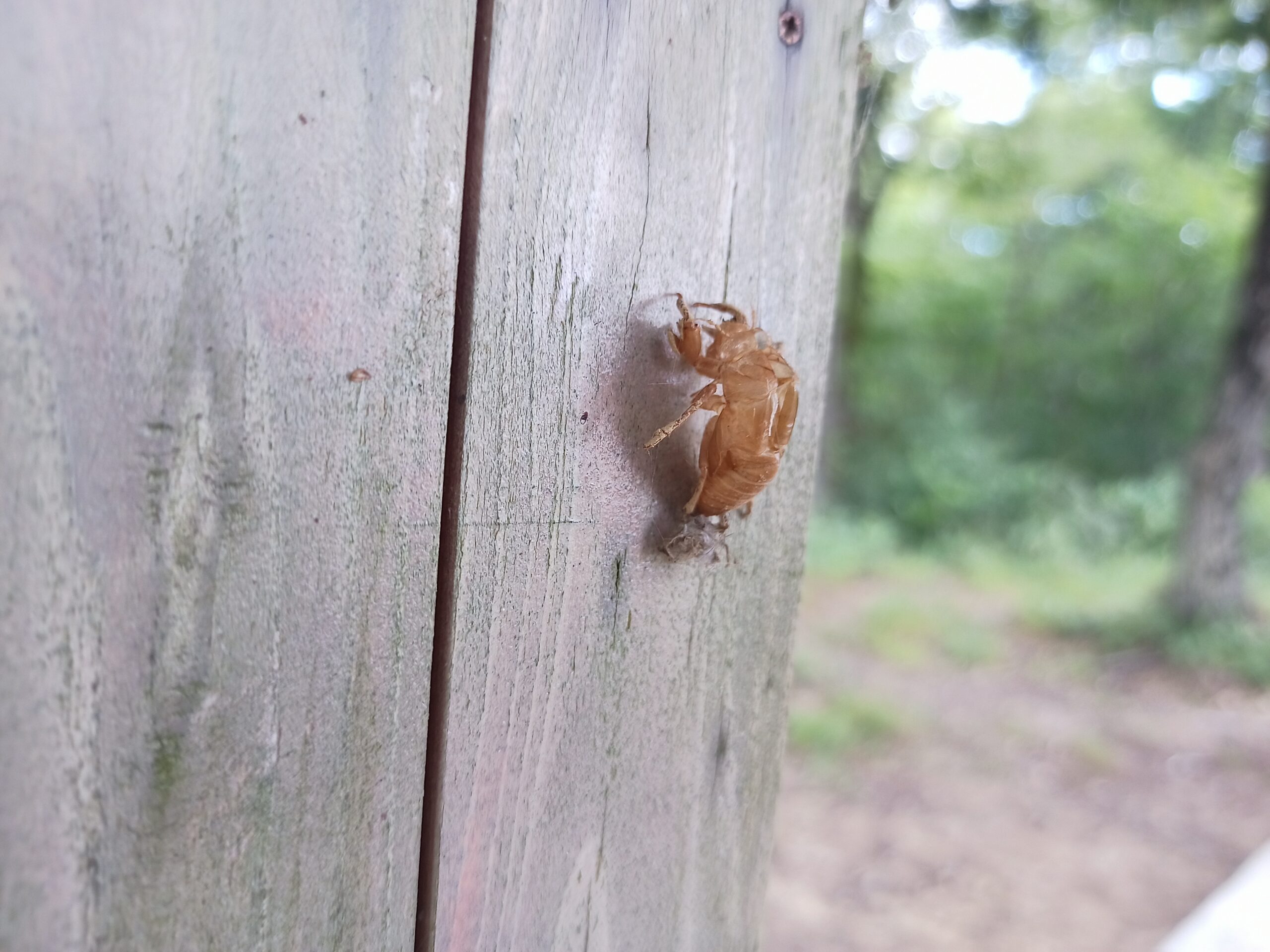 IMG_20230816_123639_655