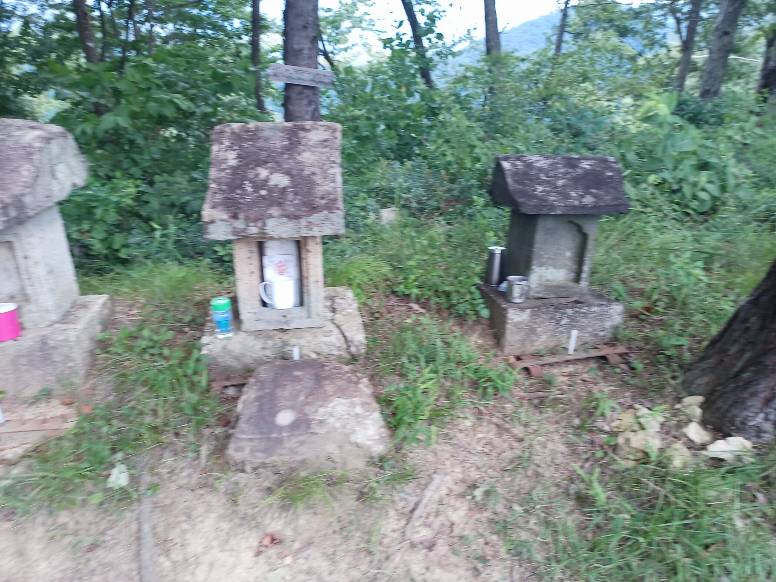 IMG_20230816_123915_246