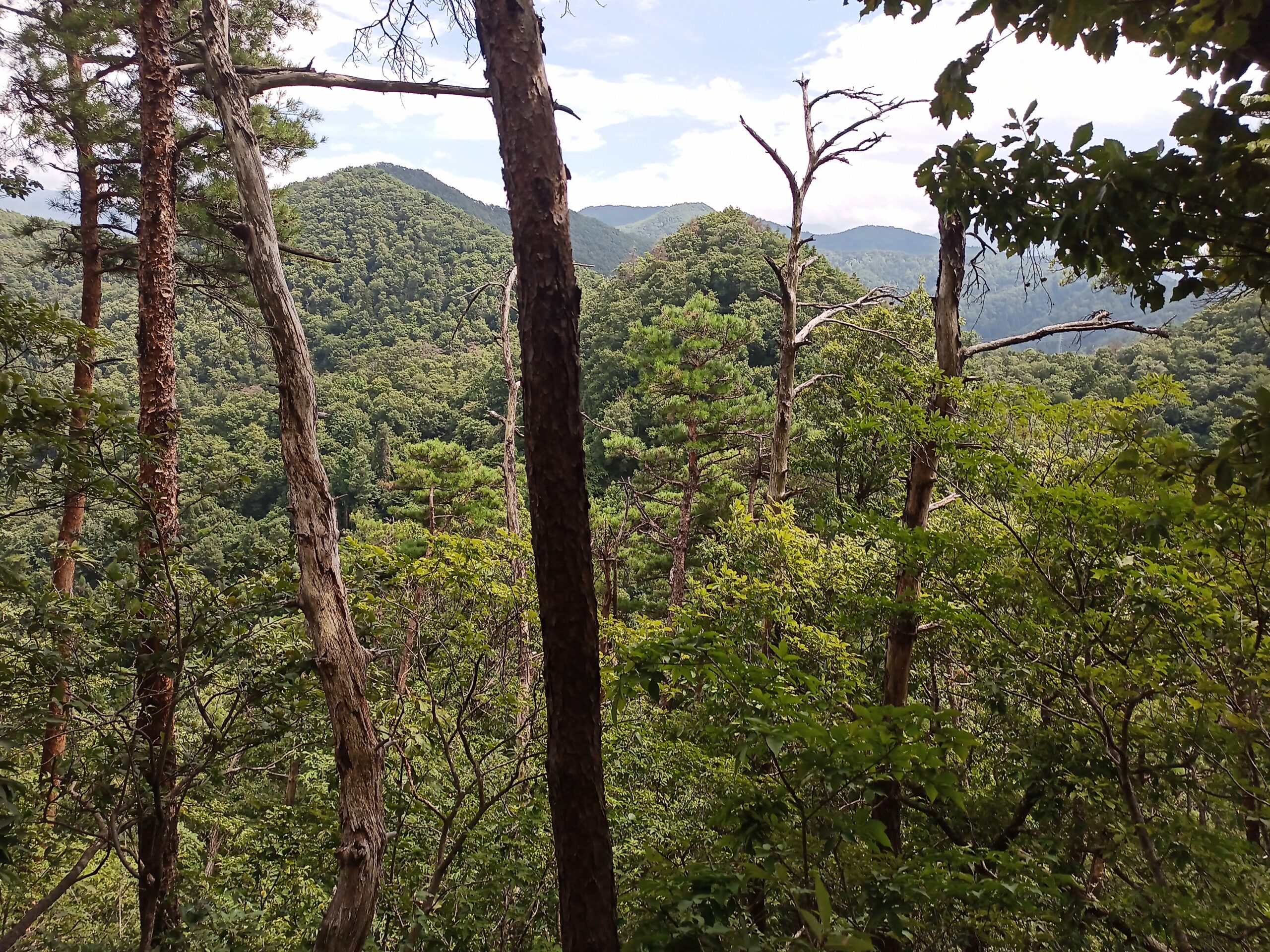 IMG_20230816_125951_765