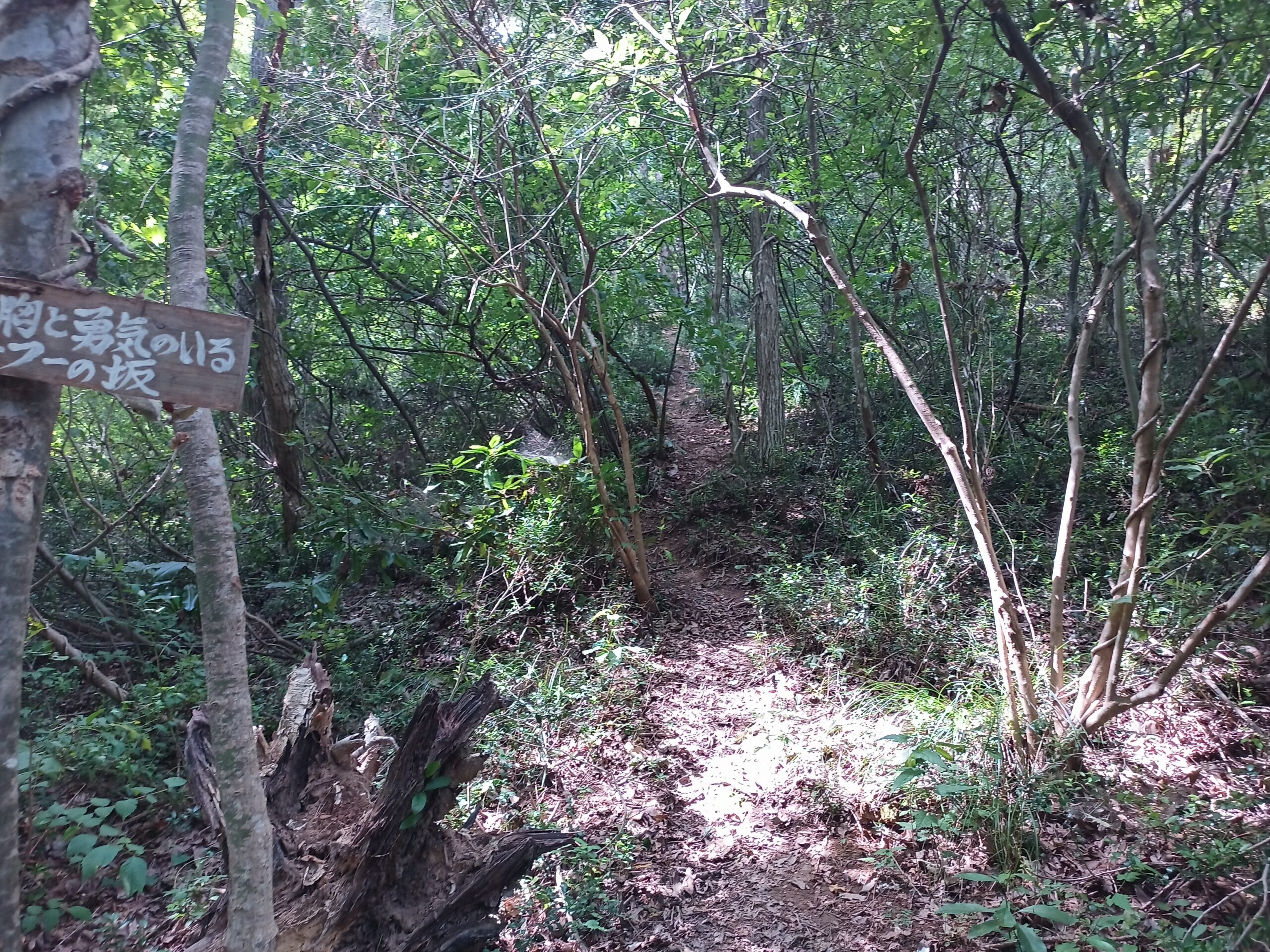 IMG_20230816_130743_898