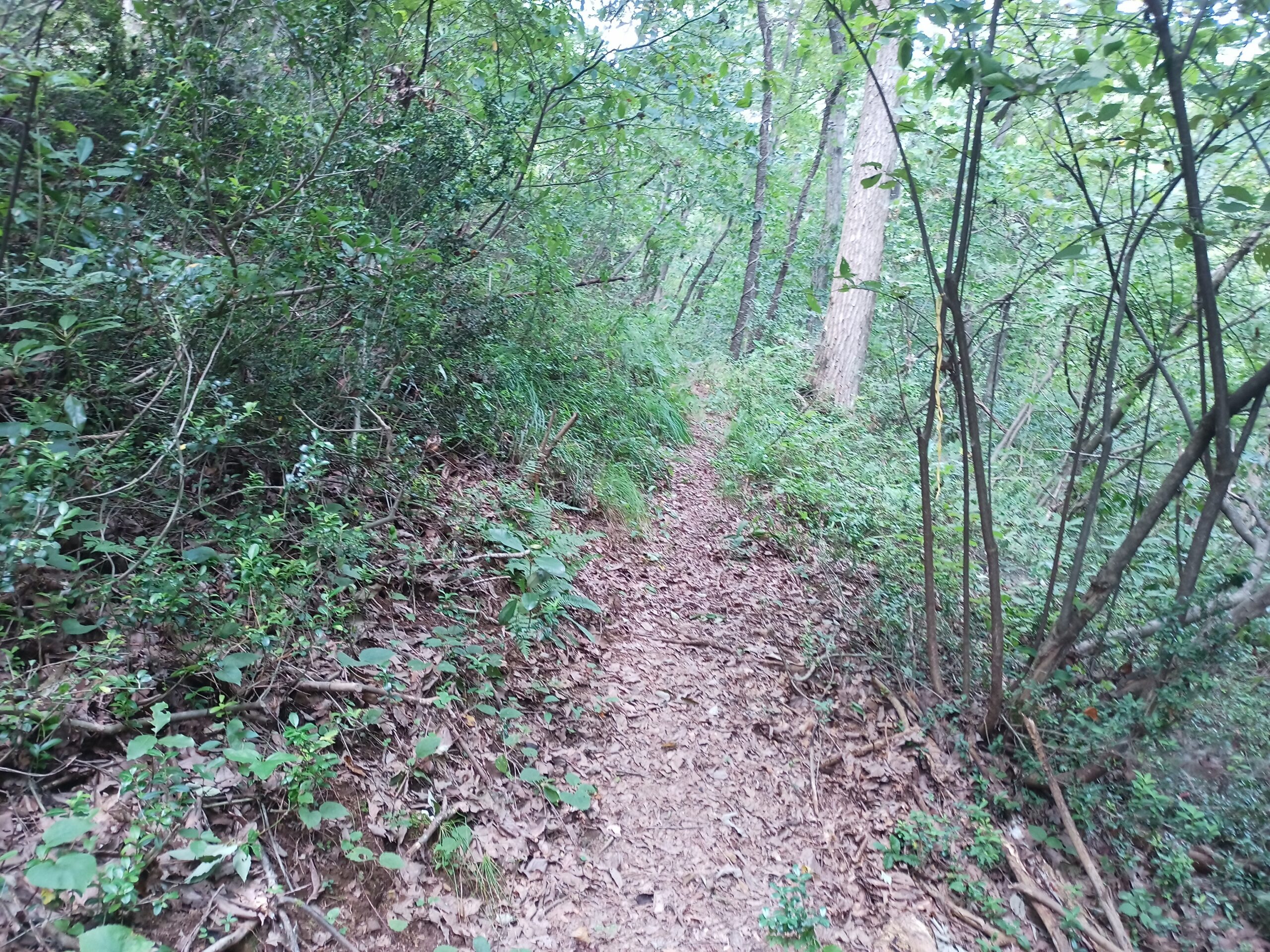 IMG_20230816_130953_223