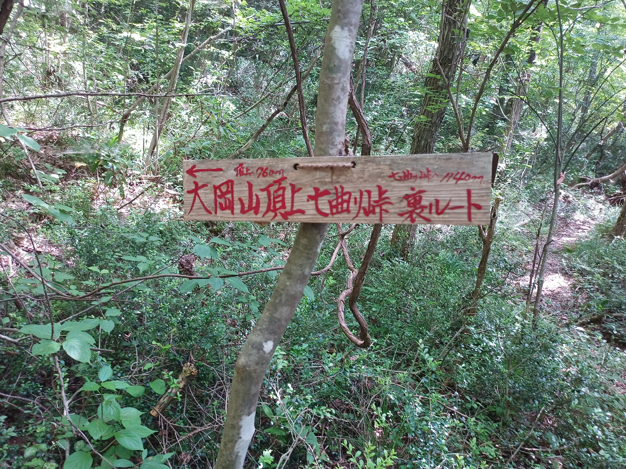 IMG_20230816_131541_537