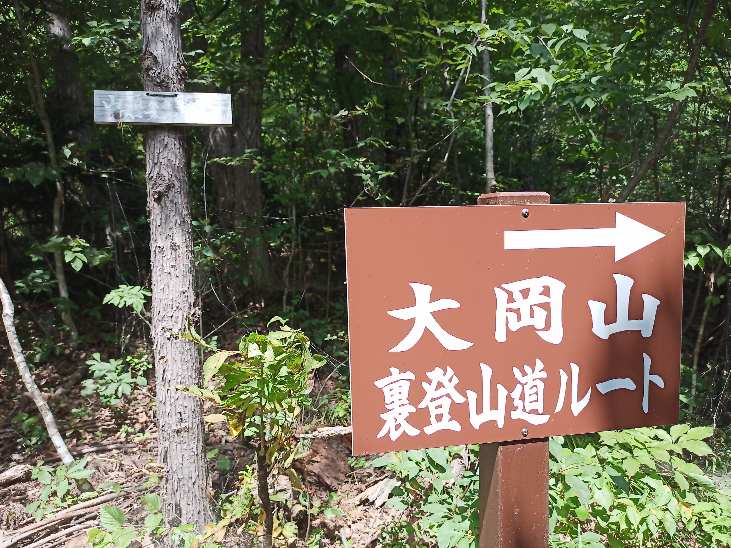 IMG_20230816_132341_594