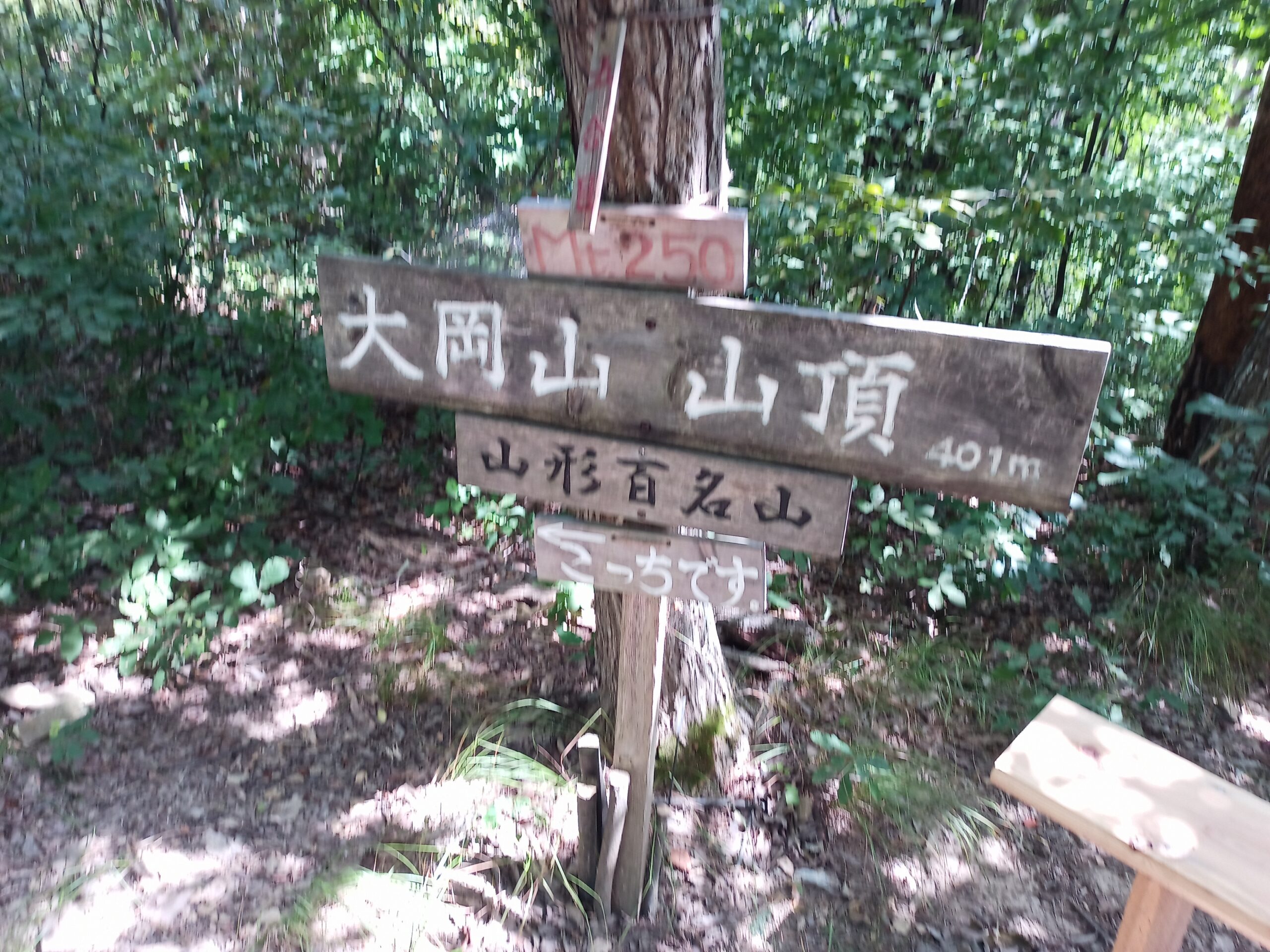 IMG_20230816_132422_322