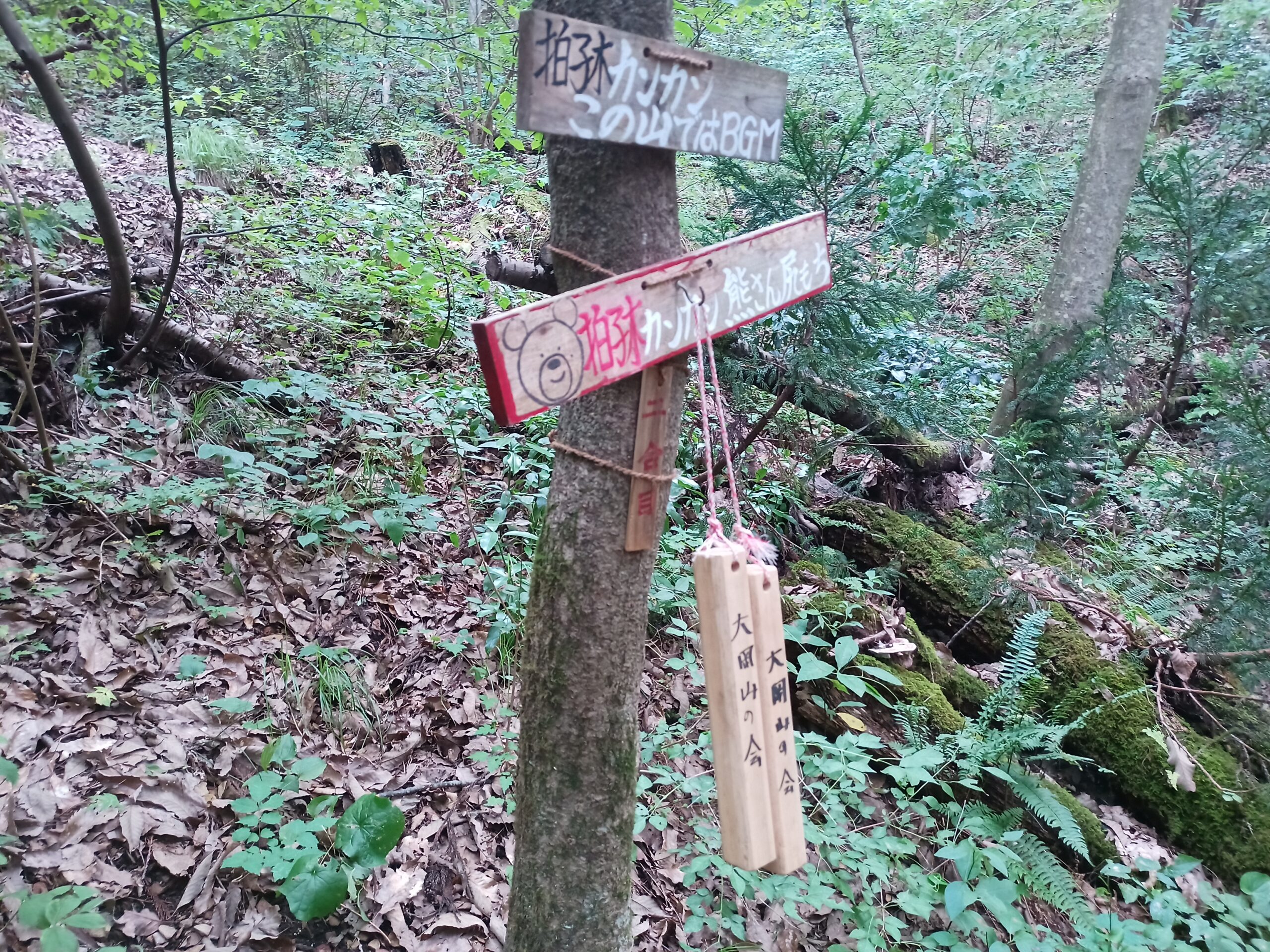 IMG_20230816_134403_022