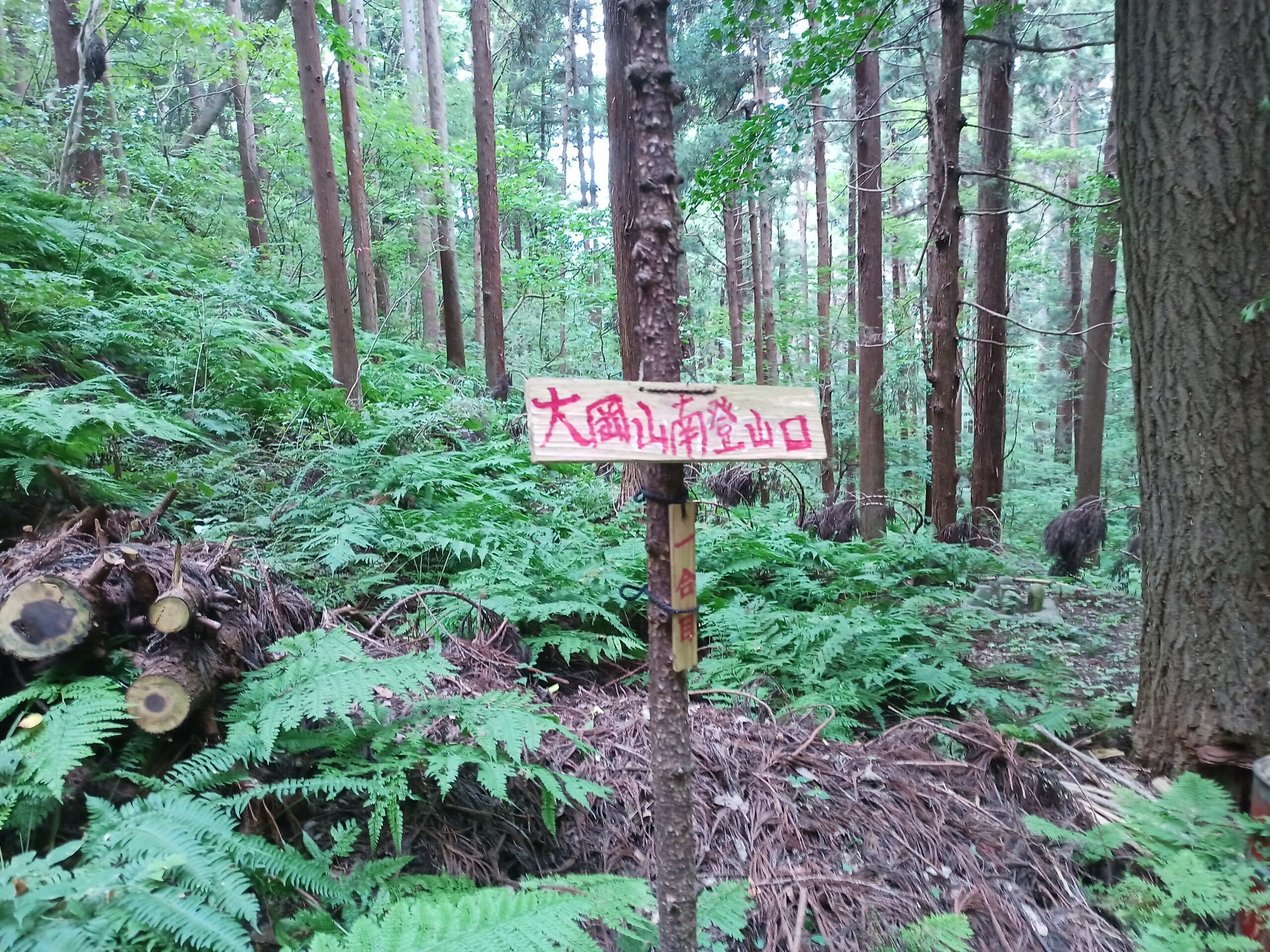 IMG_20230816_134659_077