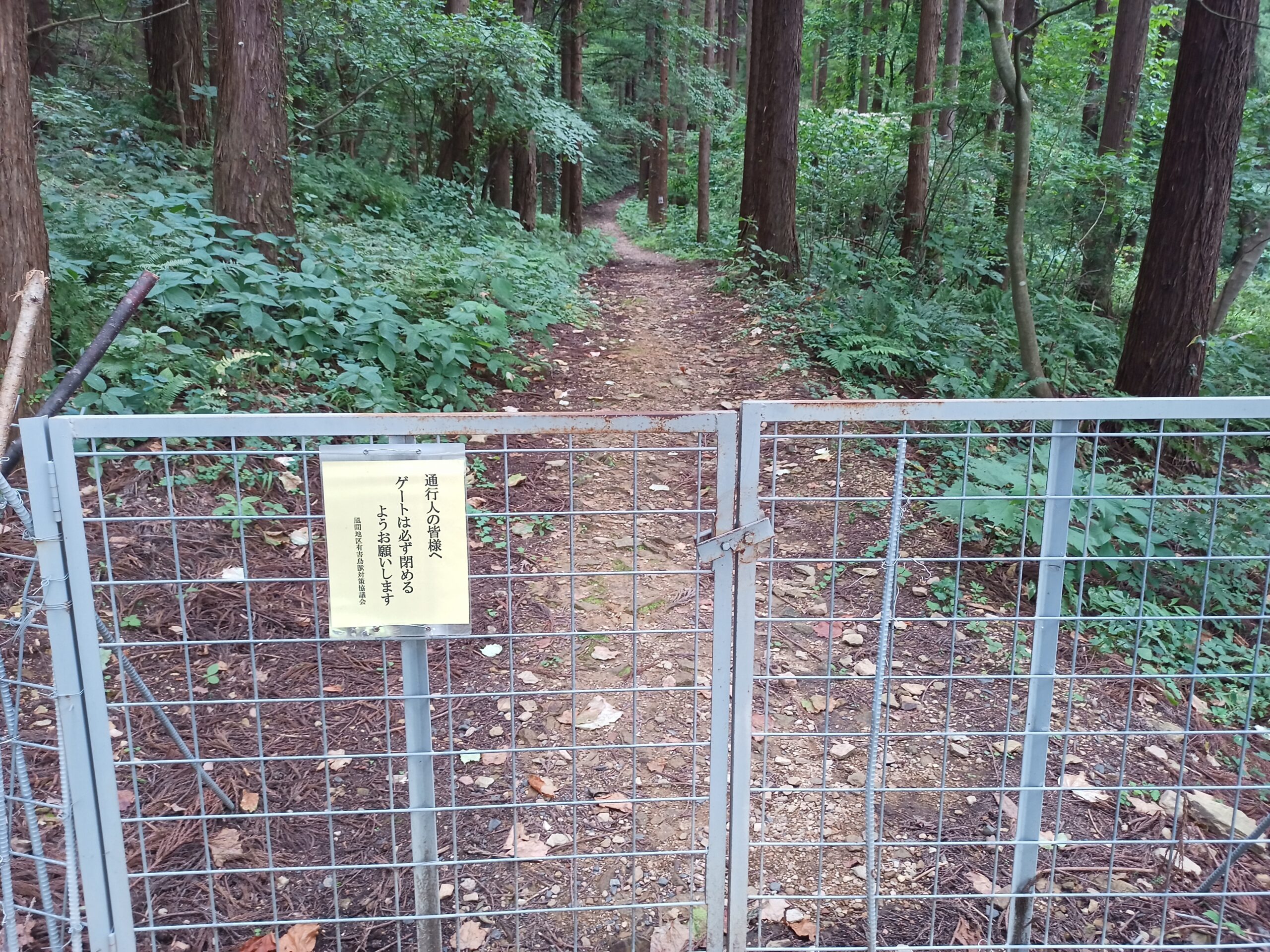 IMG_20230816_135132_241