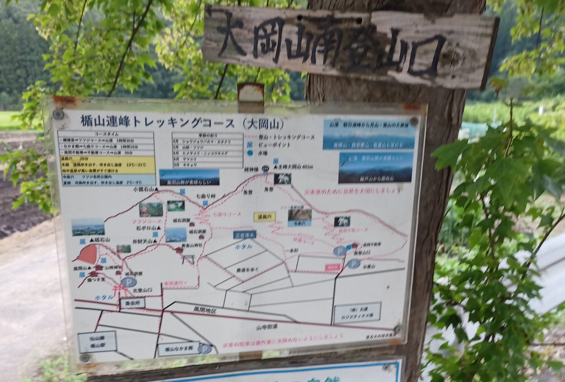 IMG_20230816_135655_299