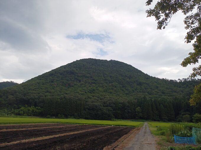 IMG_20230816_135713_878