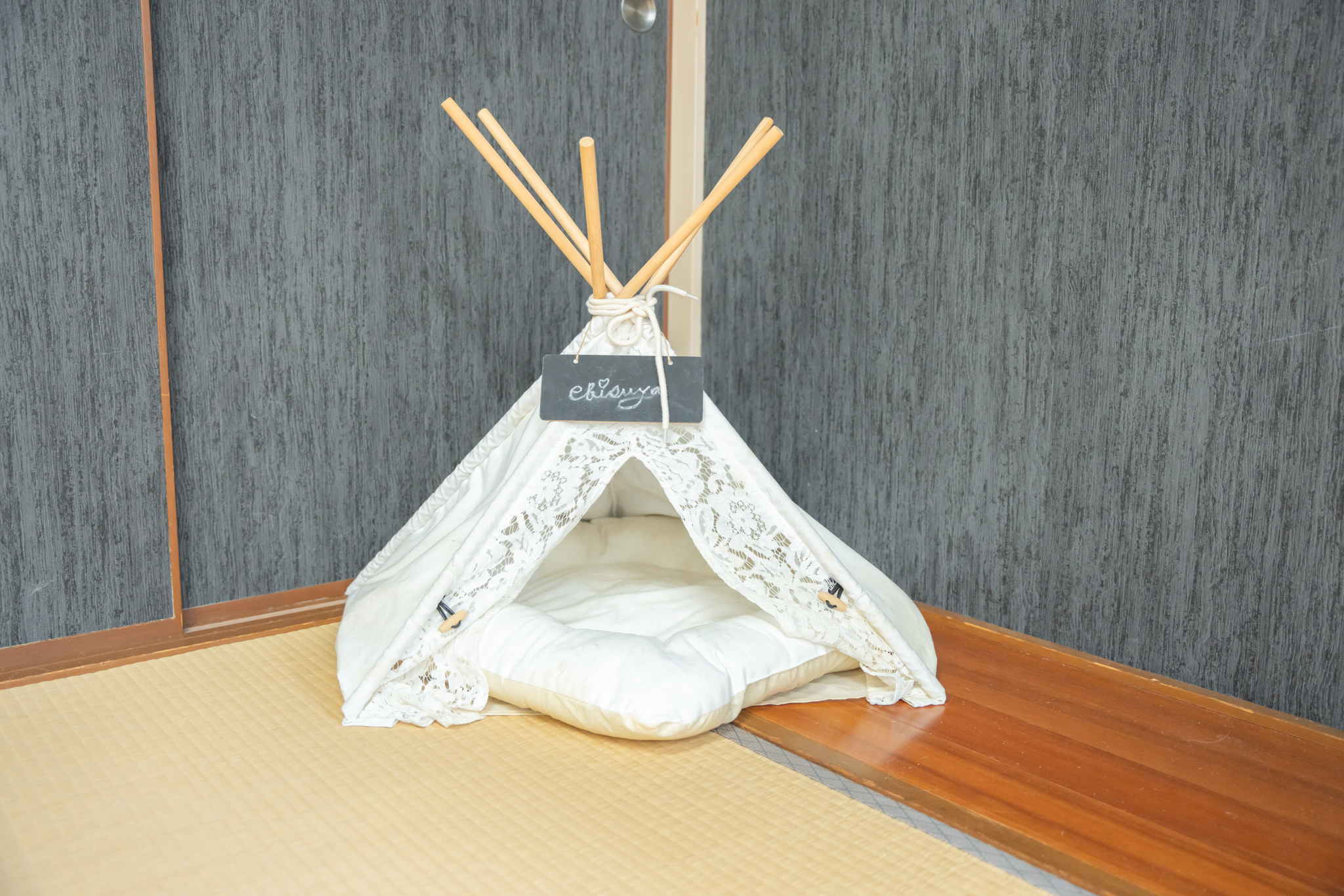 エビスヤ_ドッグラン5