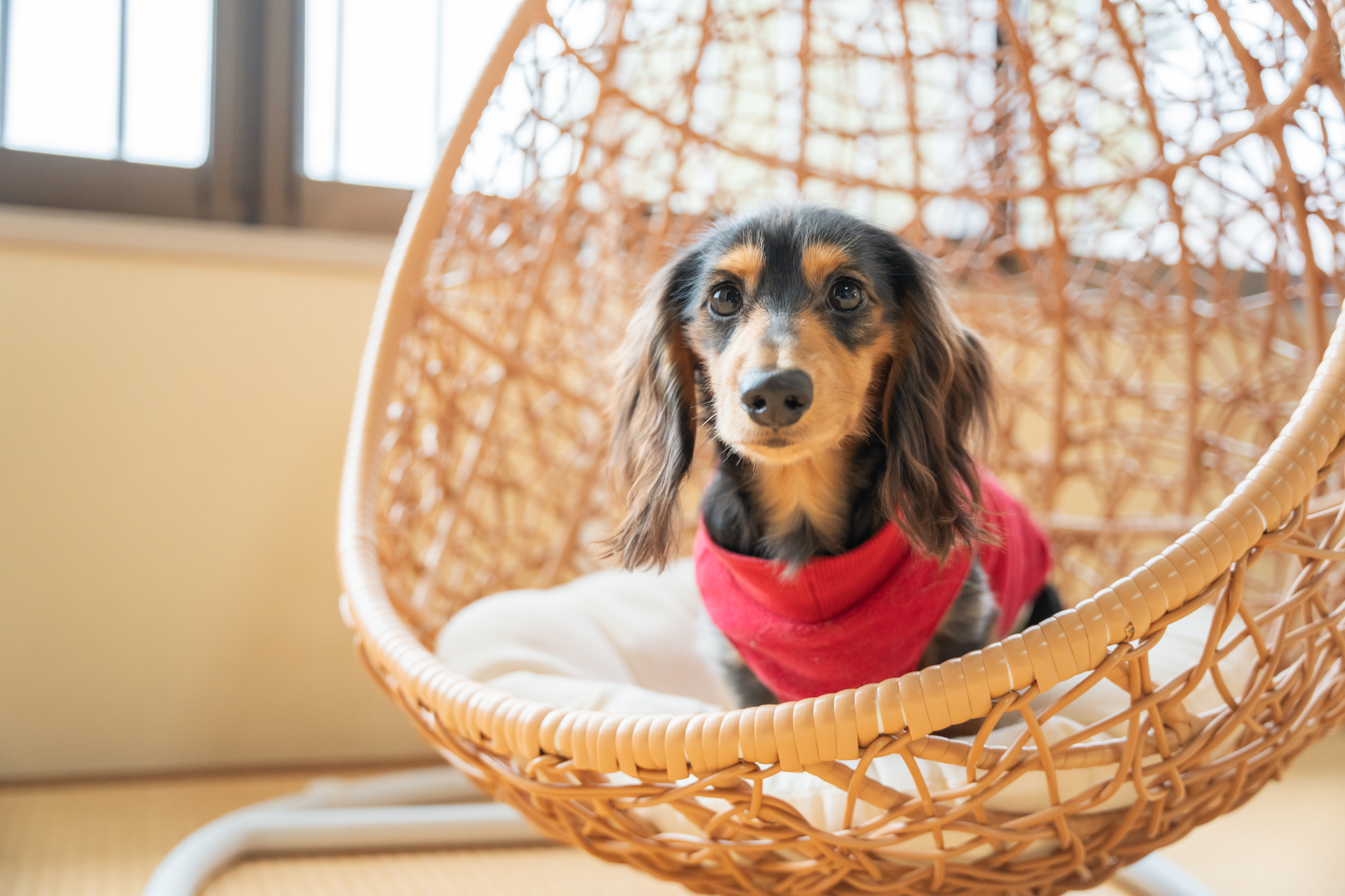 エビスヤ_フォトスポット10