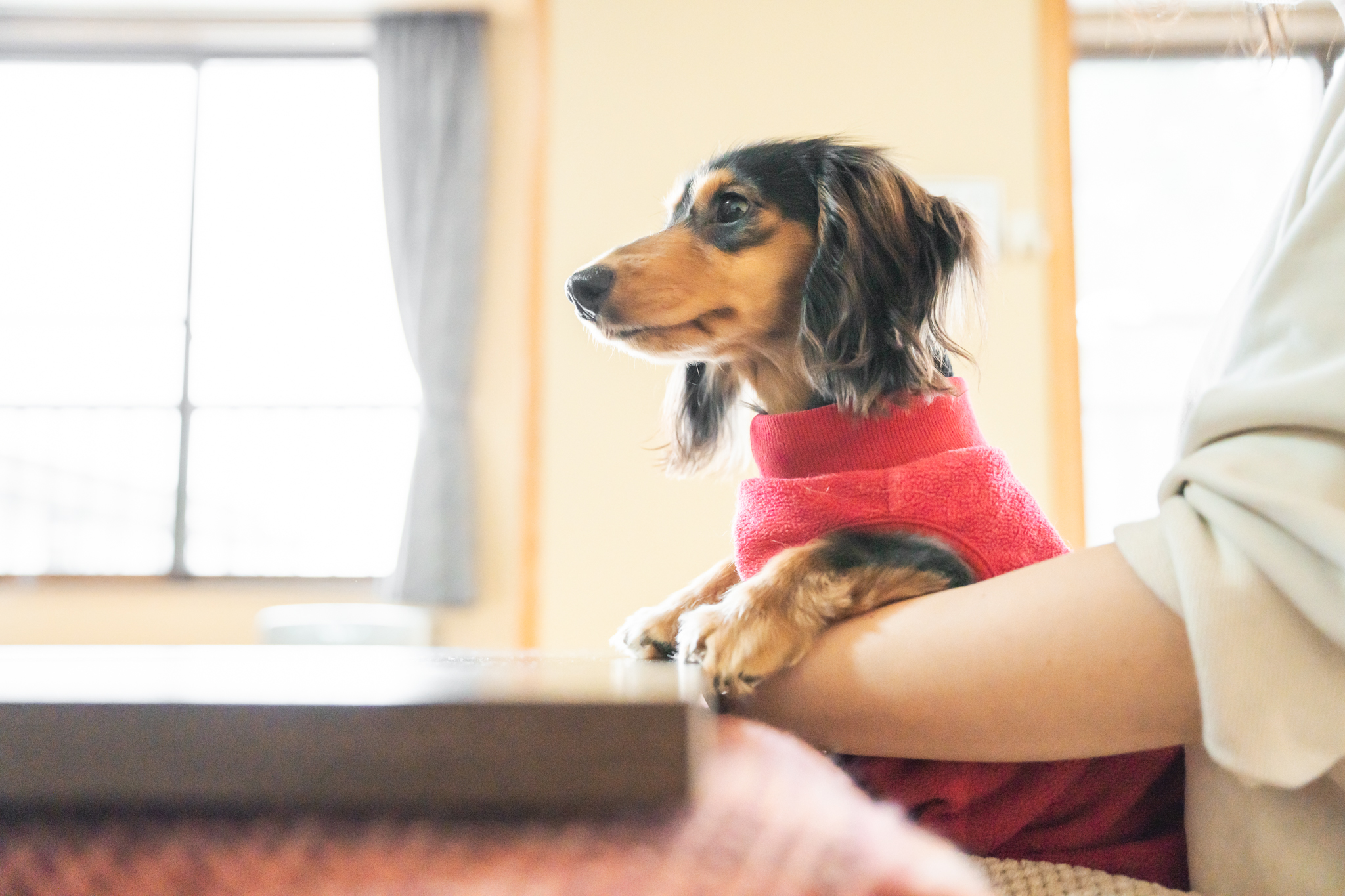 エビスヤ_部屋6