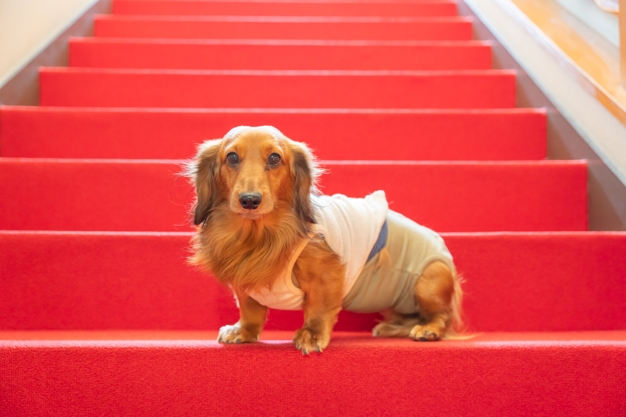 エビスヤ_フォトスポット7