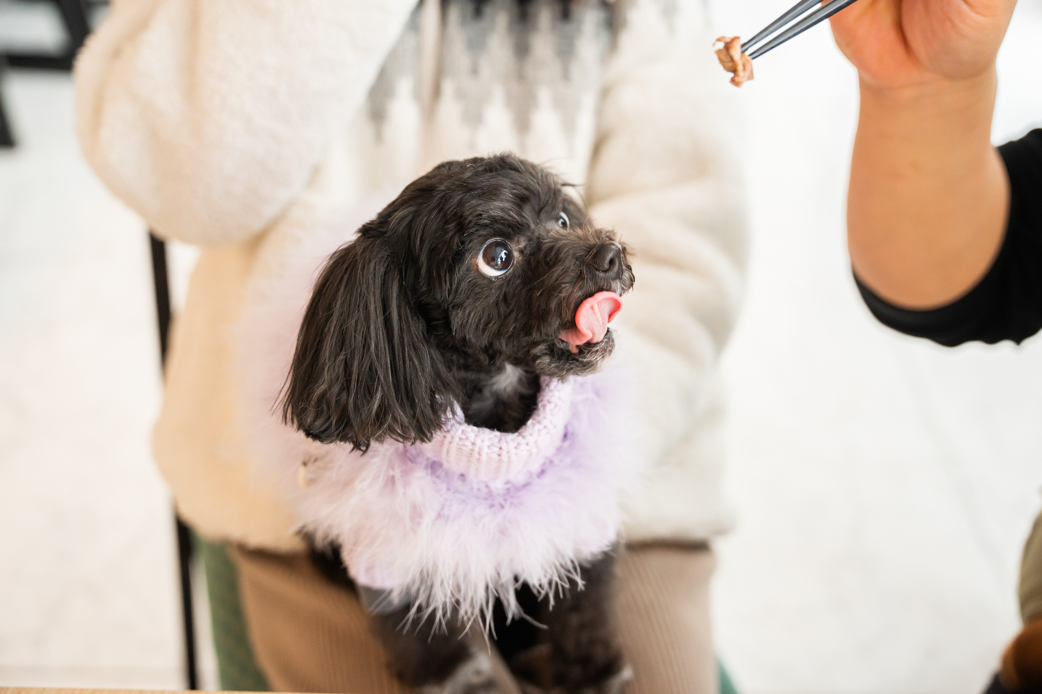 エビスヤ_食事2