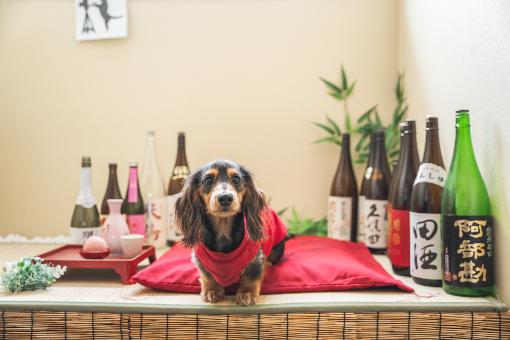 エビスヤ_フォトスポット4