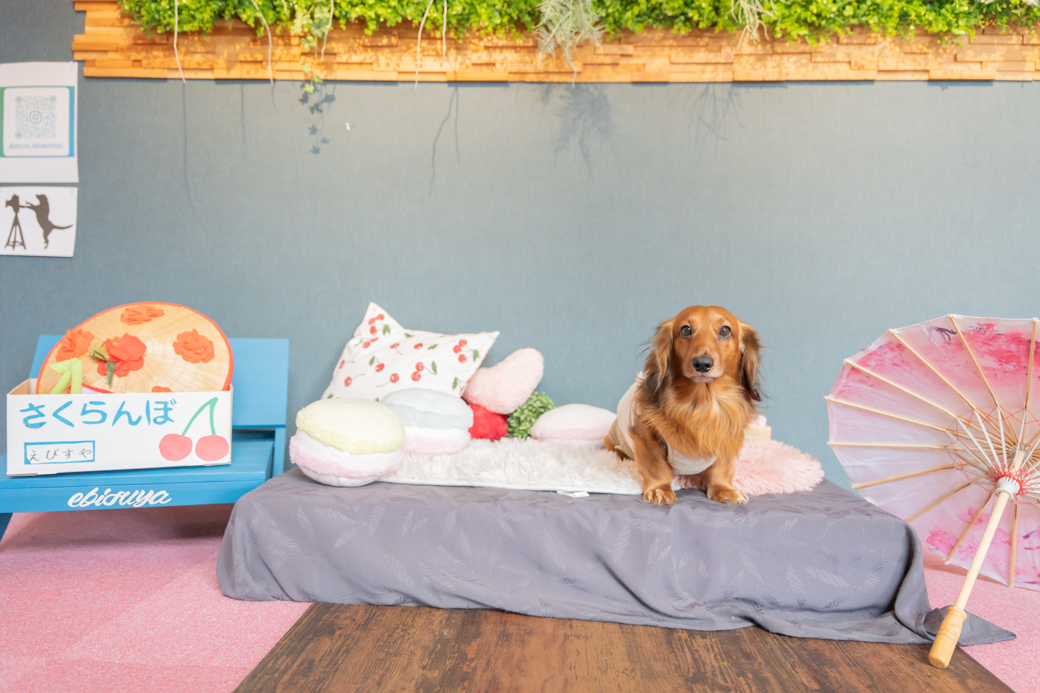 エビスヤ_フォトスポット2