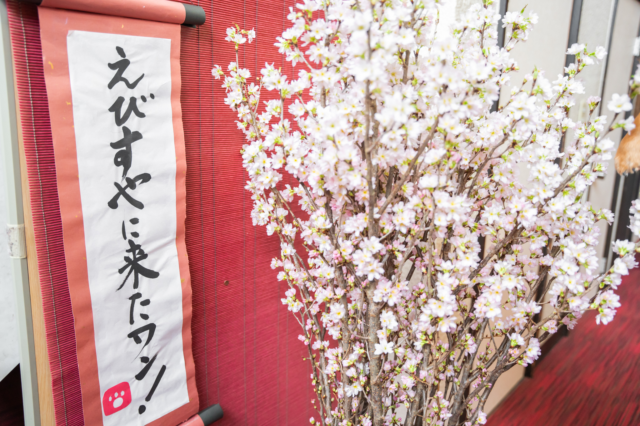 エビスヤ_フォトスポット9