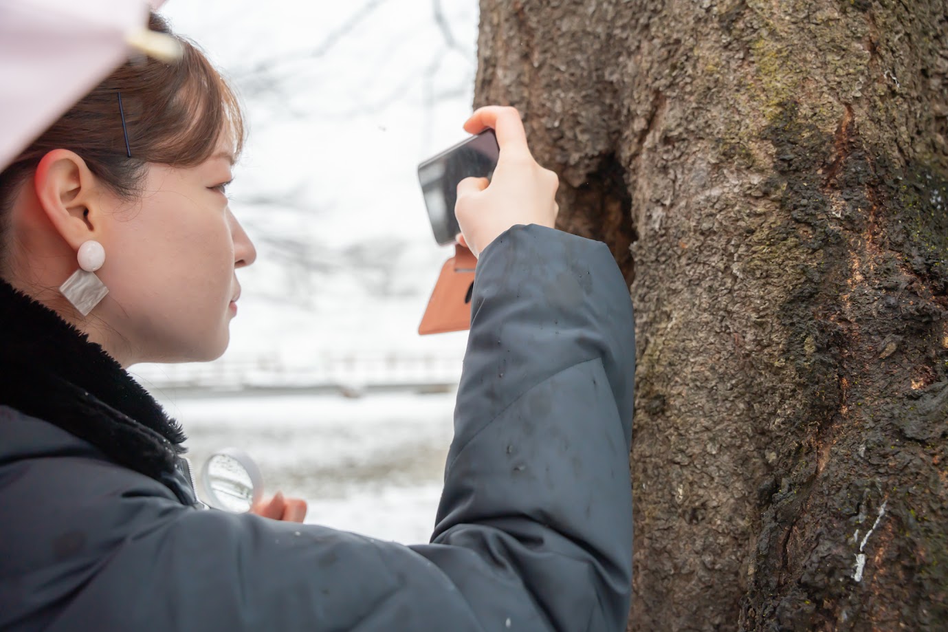やままる_霞城公園4
