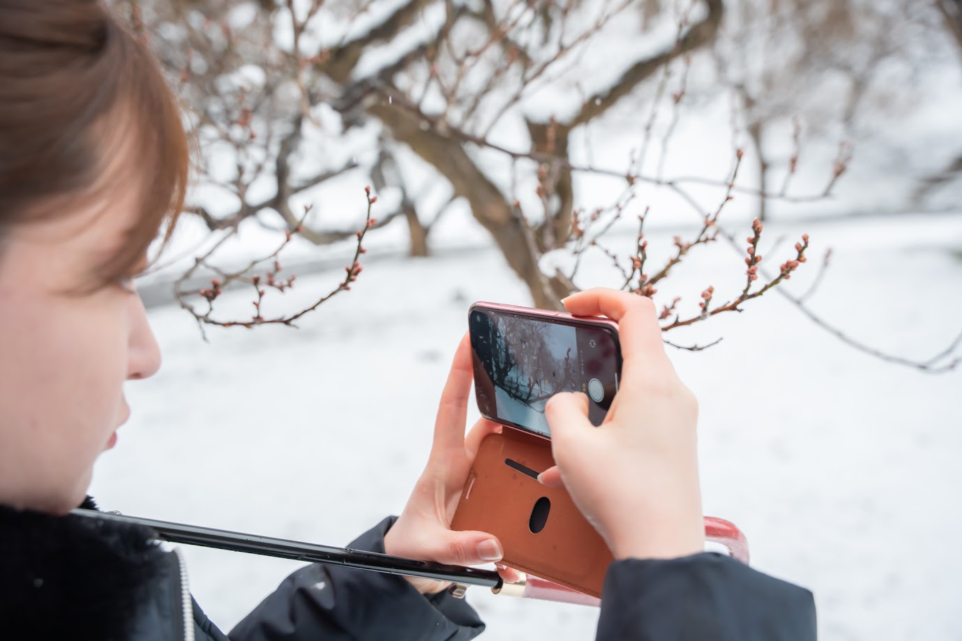 やままる_霞城公園8