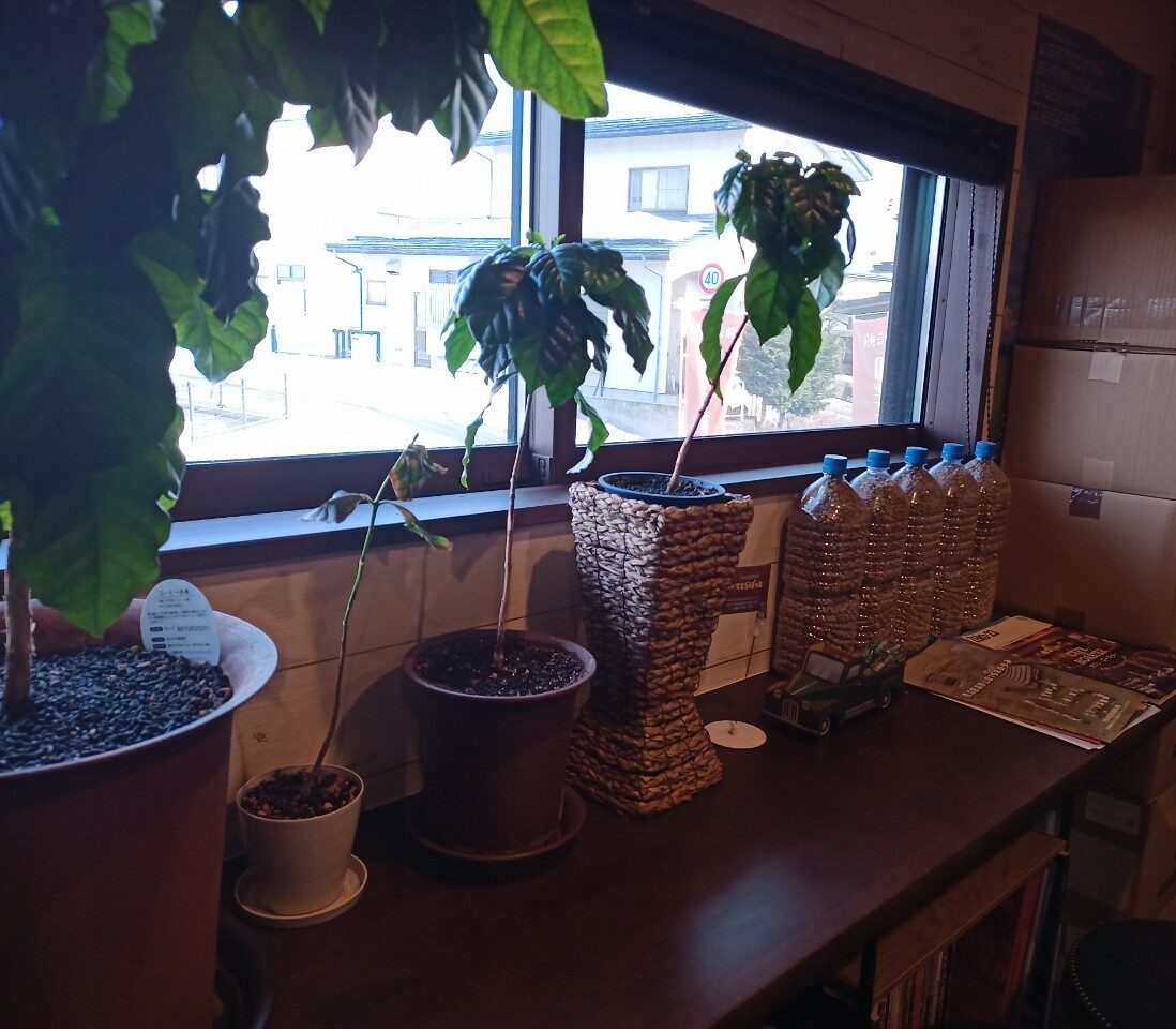 LINE_ALBUM_てとらぽっと_250306_38