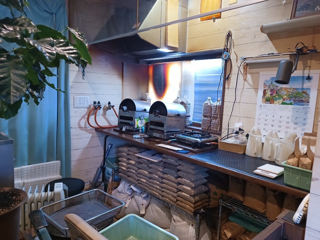 LINE_ALBUM_てとらぽっと_250306_35