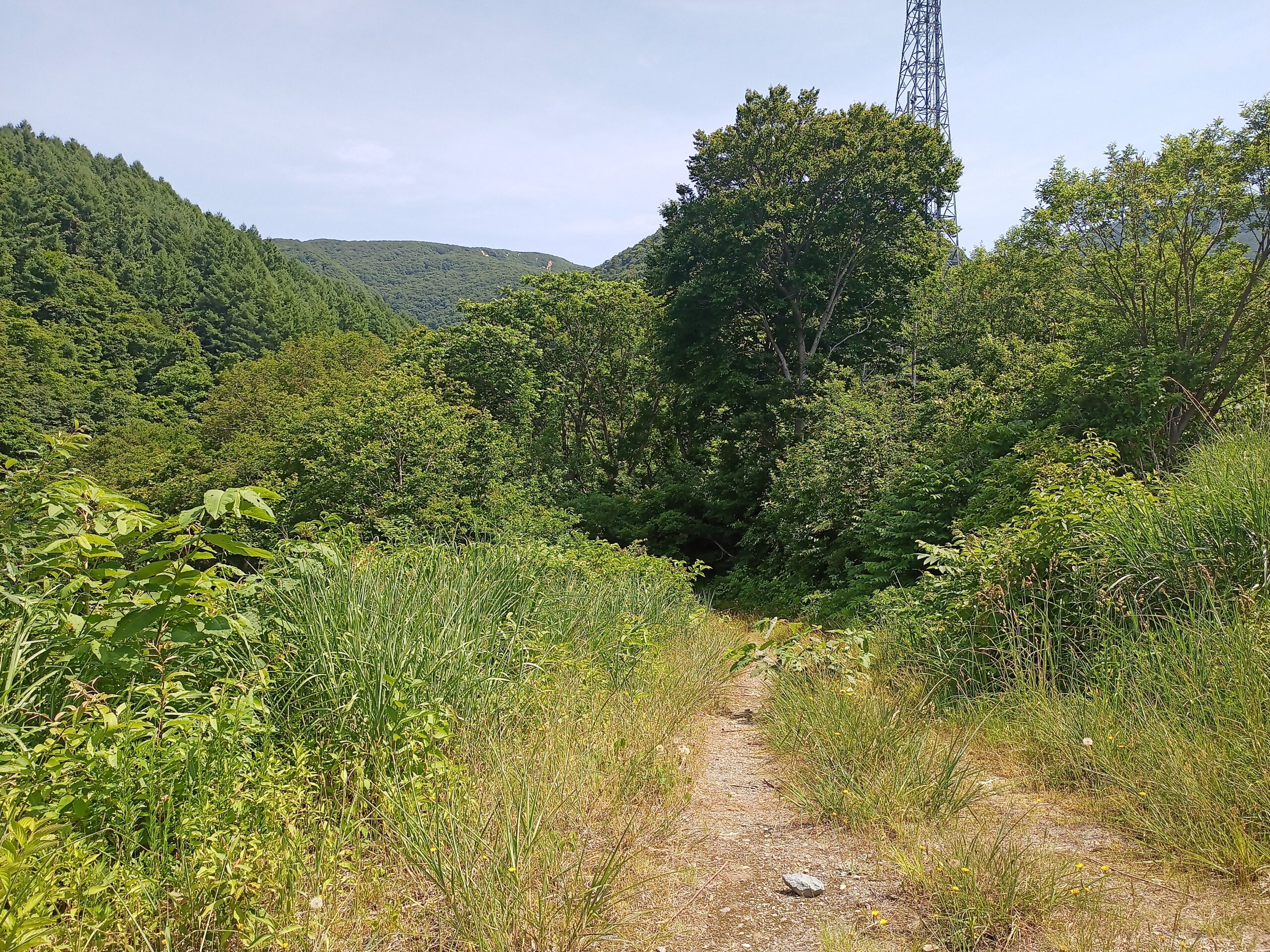 IMG_20240622_093913_161