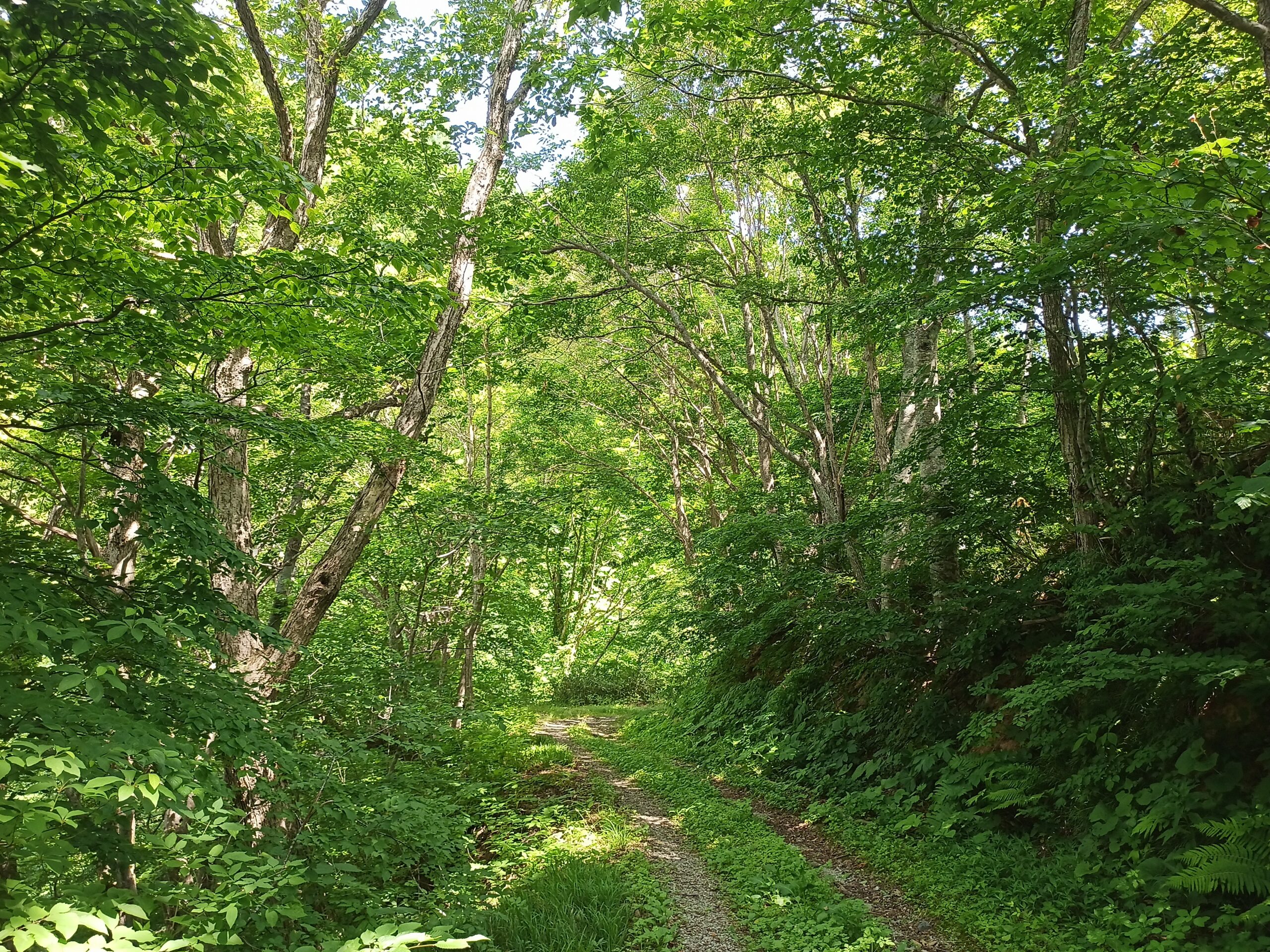 IMG_20240622_094152_605