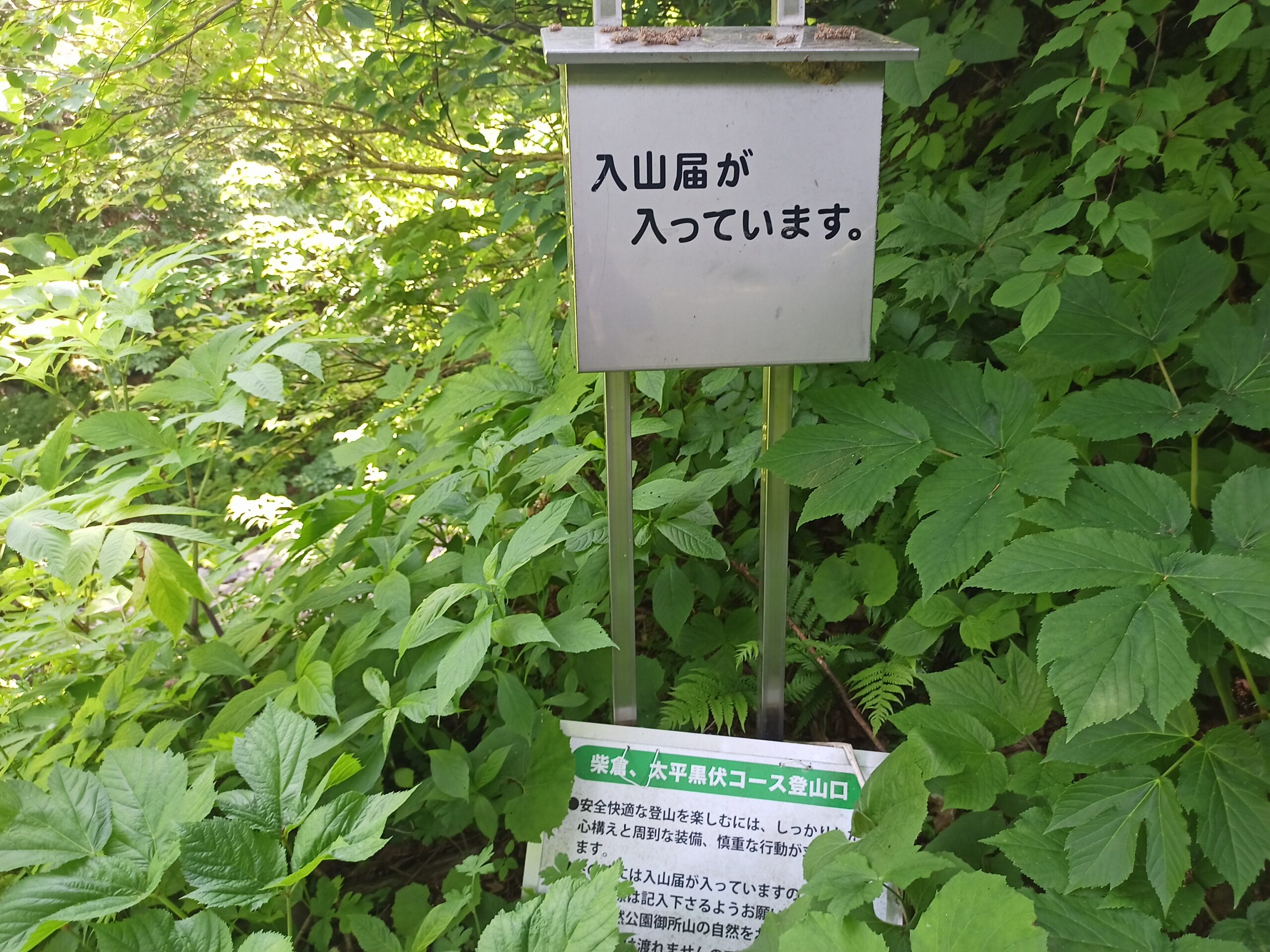 IMG_20240622_094351_003