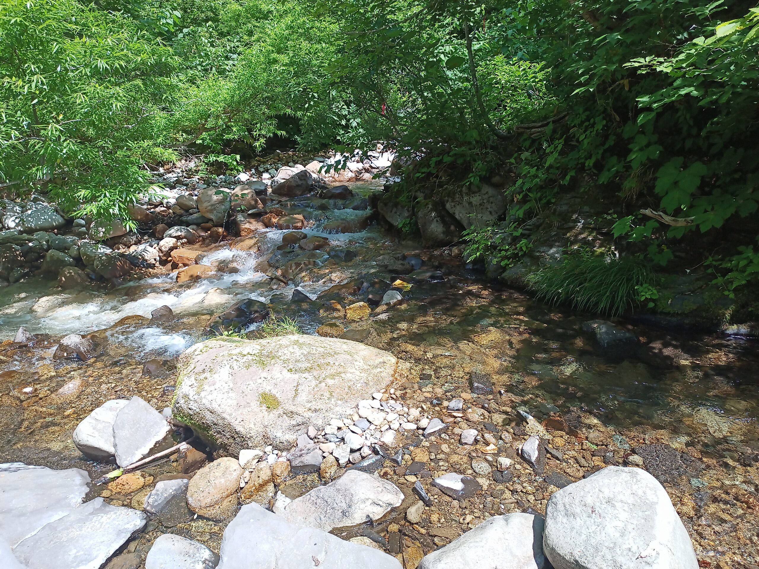 IMG_20240622_095058_780