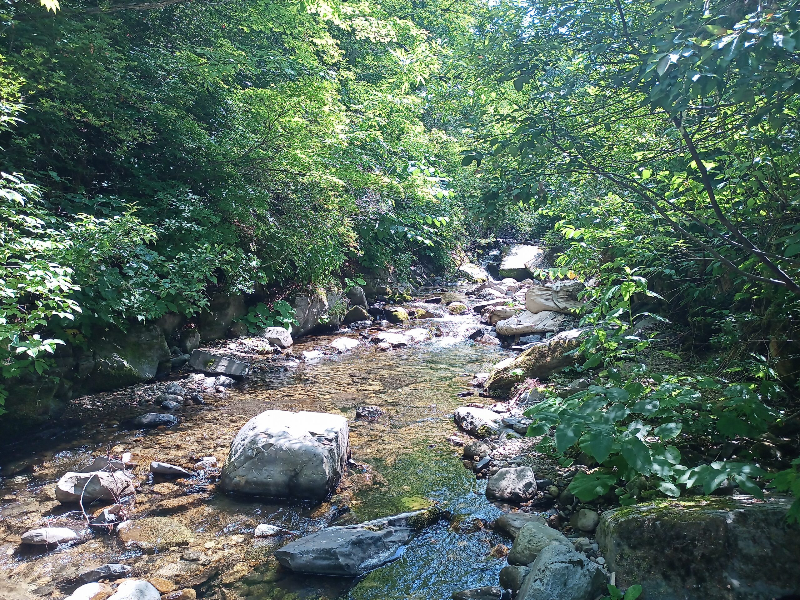 IMG_20240622_095102_399