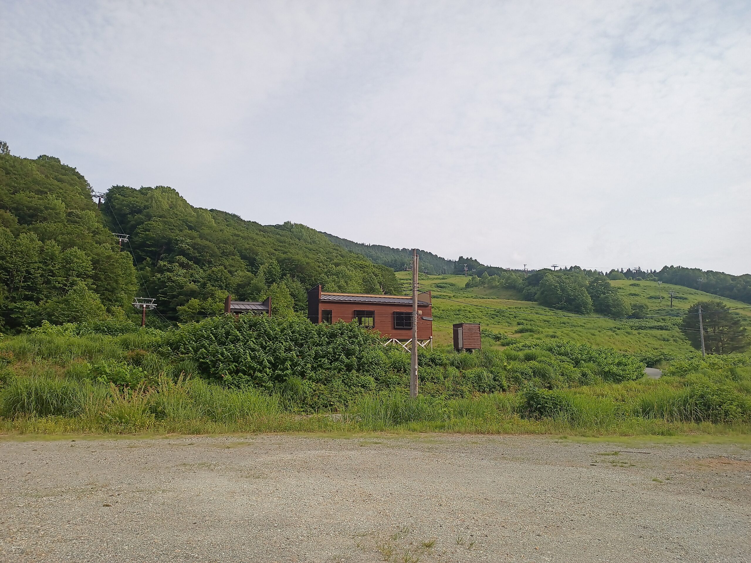 IMG_20240622_163953_211