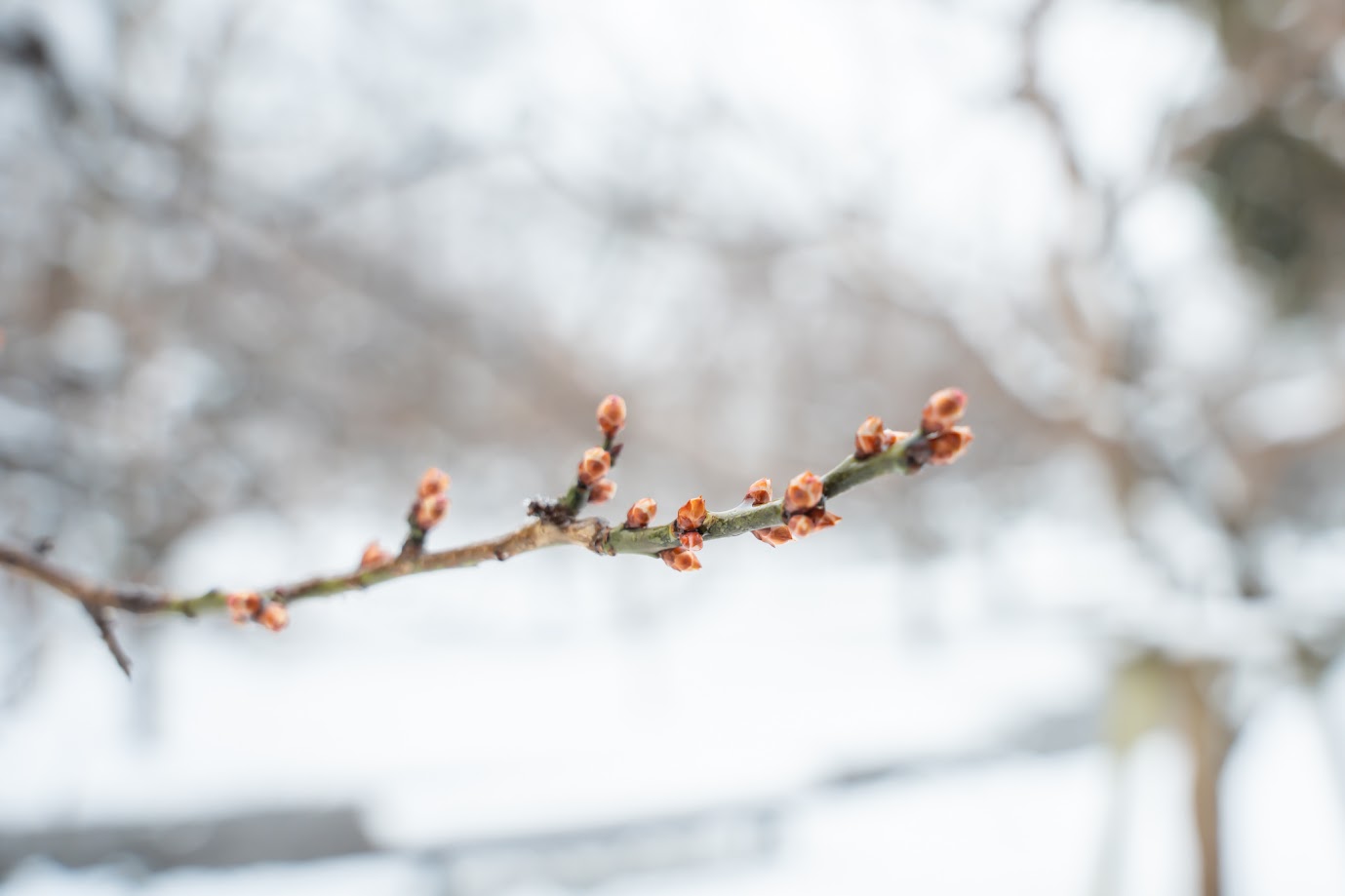やままる_霞城公園6