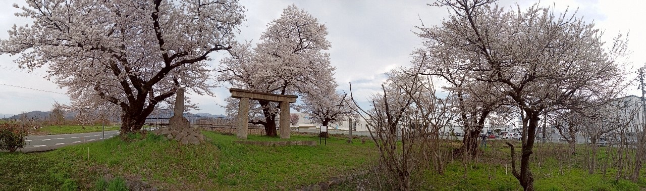 LINE_ALBUM_清池の石鳥居_250419_8