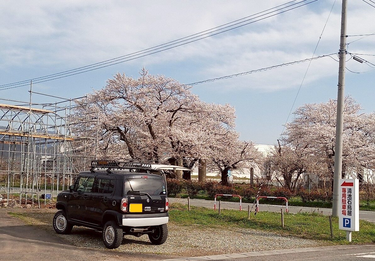 LINE_ALBUM_清池の石鳥居_250419_2