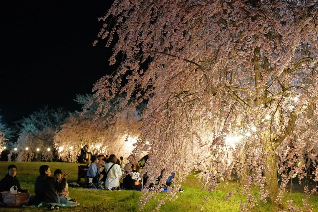 最優秀賞「土曜の夜の満員満車御礼」