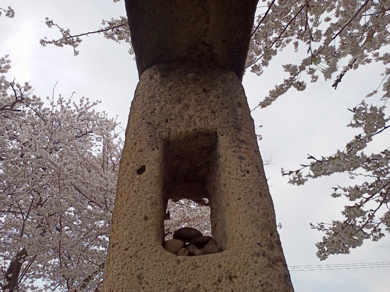 LINE_ALBUM_清池の石鳥居_250419_22