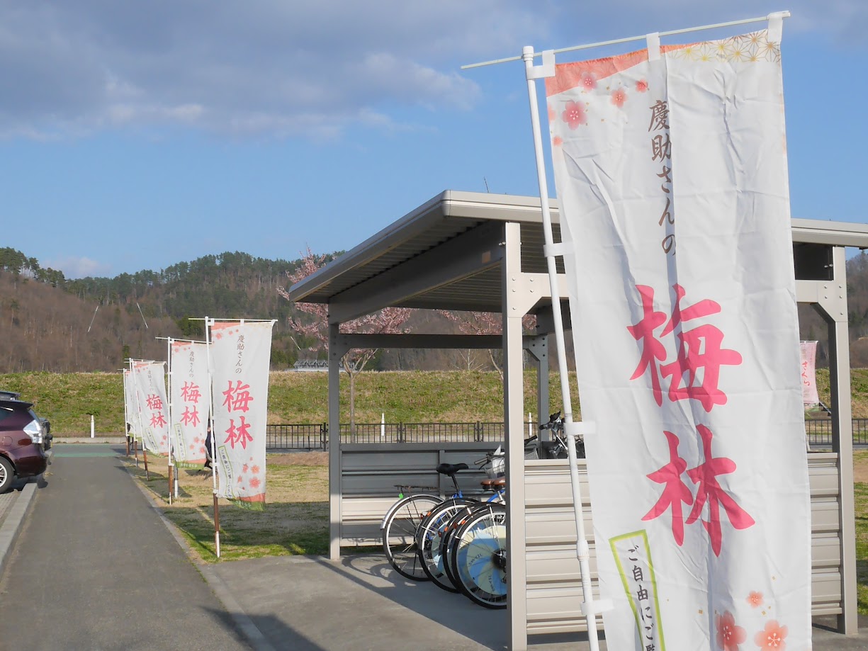 慶助さんの梅林13