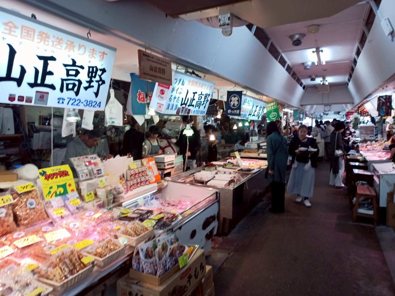 LINE_ALBUM_弘前城 2025GW_250514_322